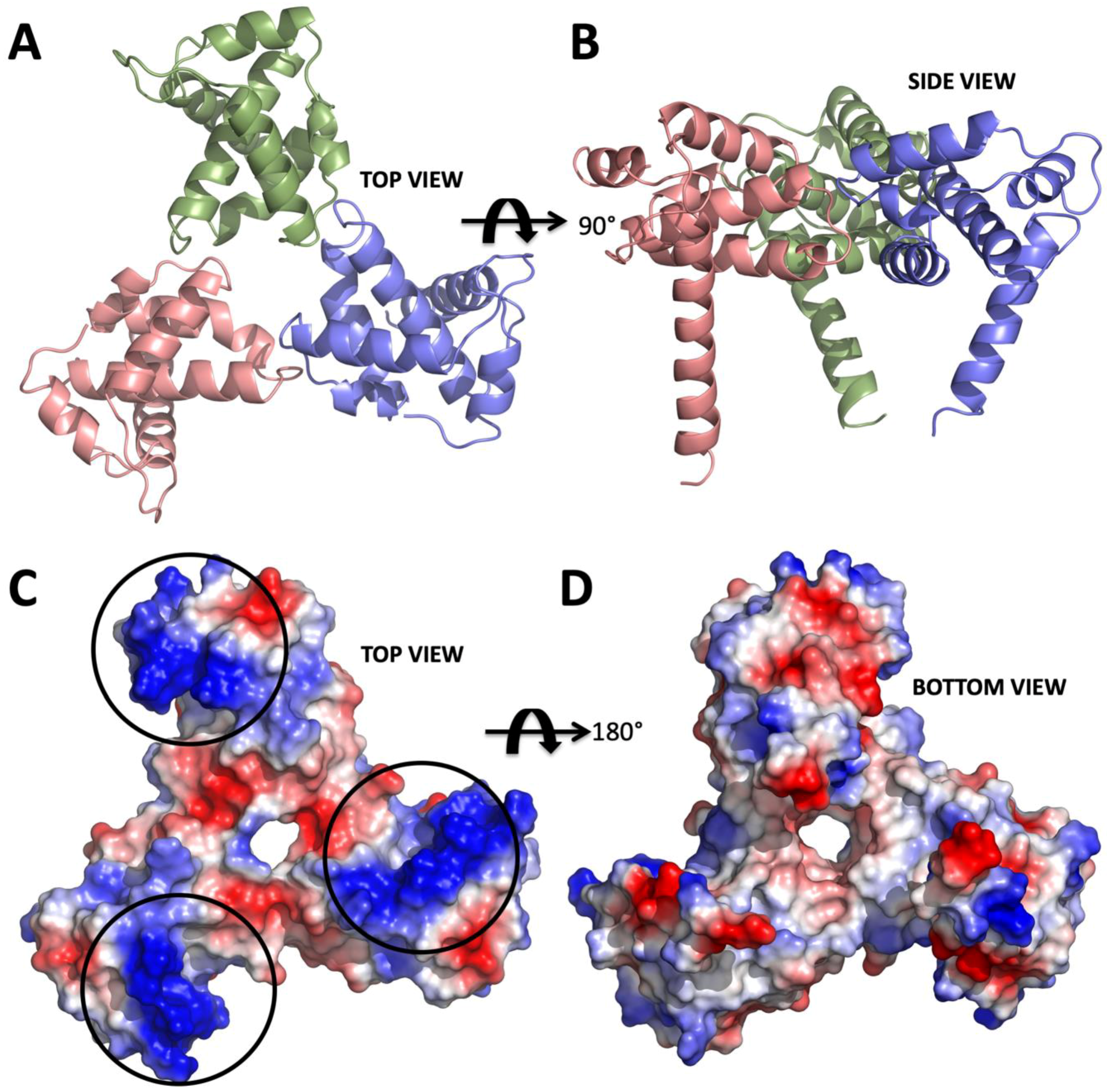 Ijms 20 01675 g001