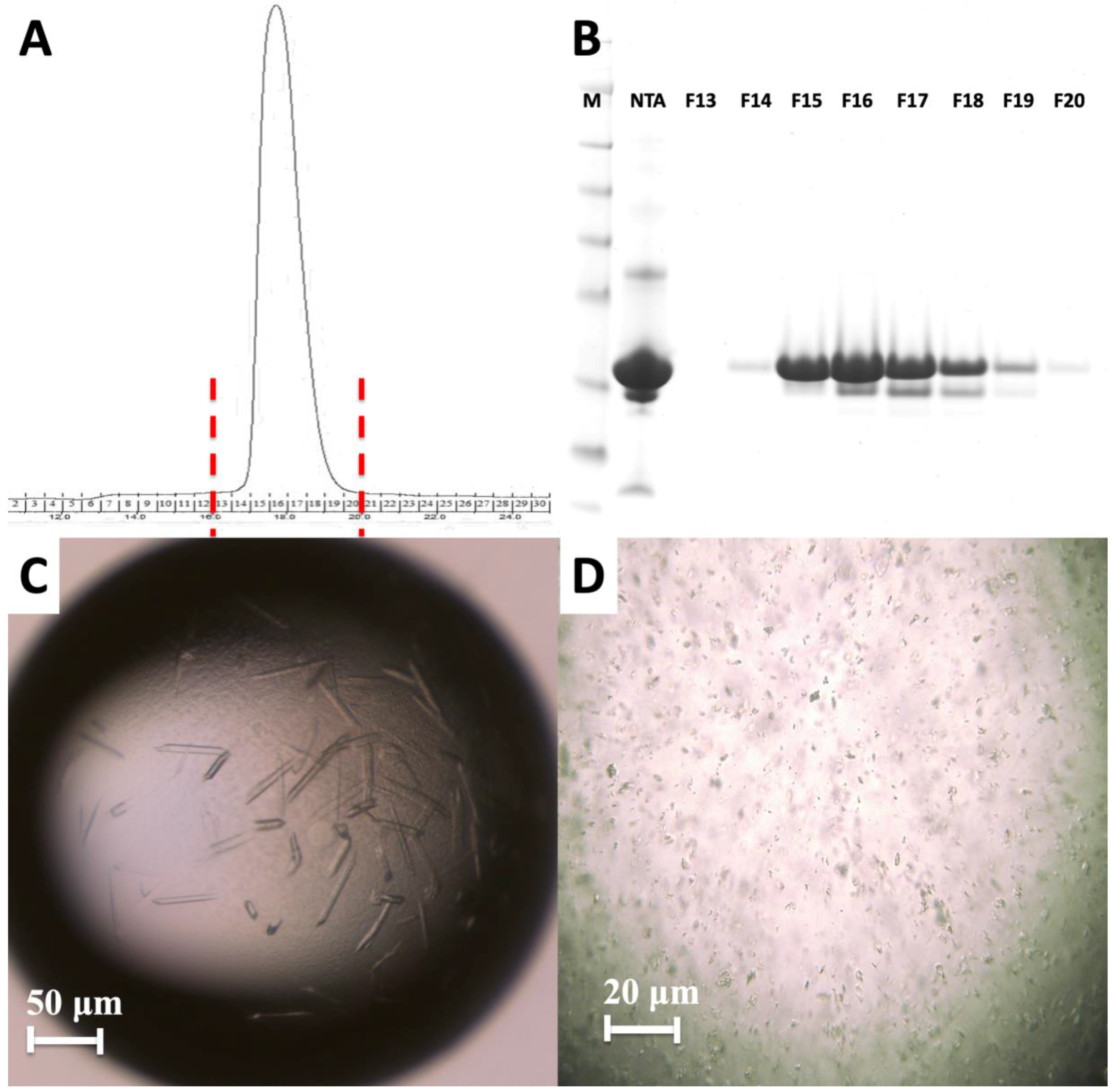 Ijms 20 01675 g004