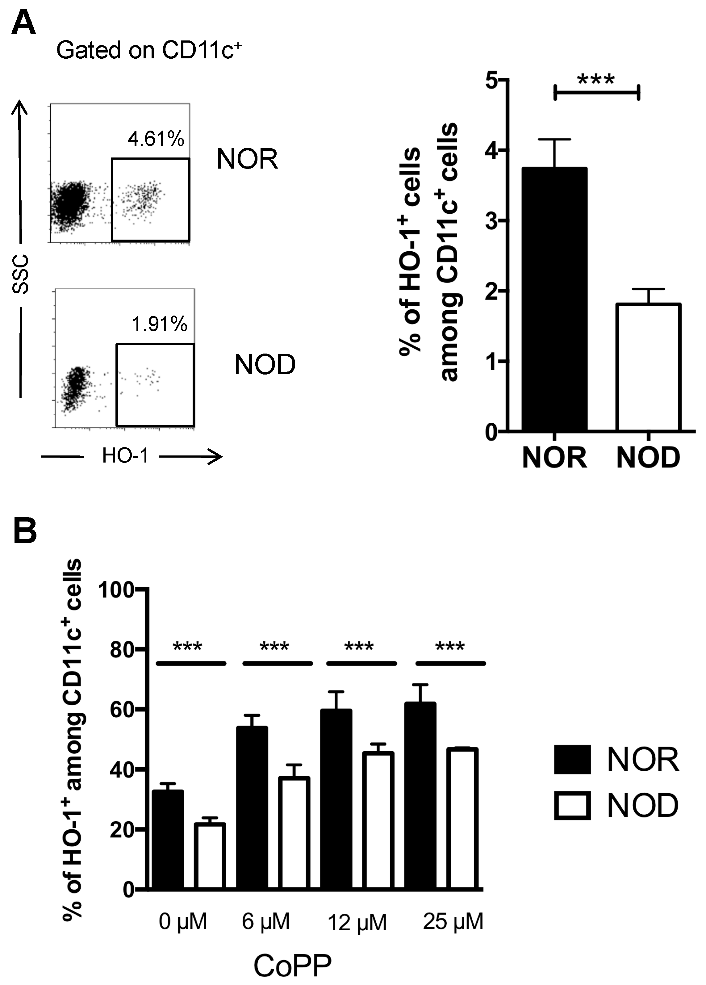 Ijms 20 01676 g001 550