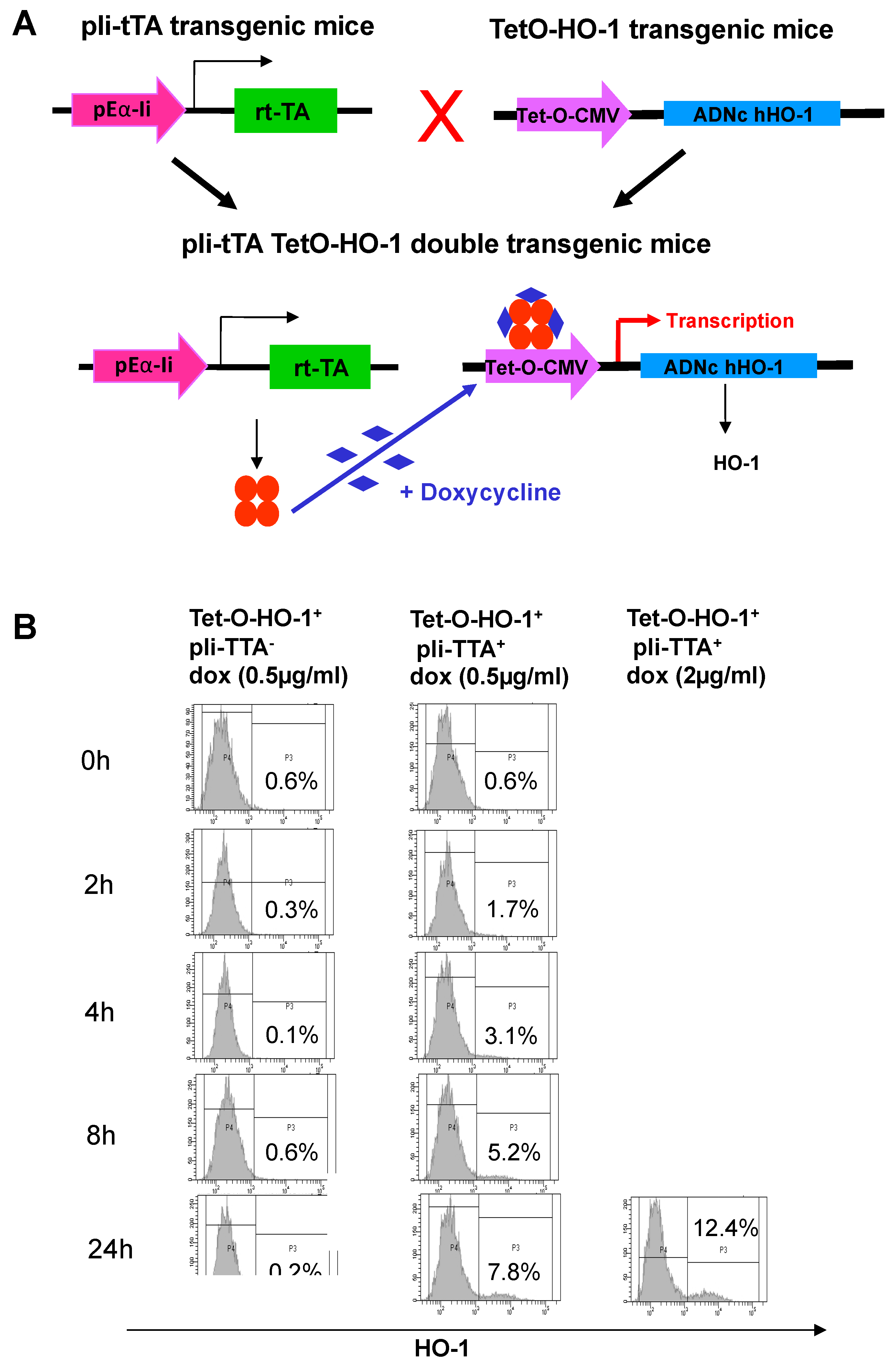 Ijms 20 01676 g002 550