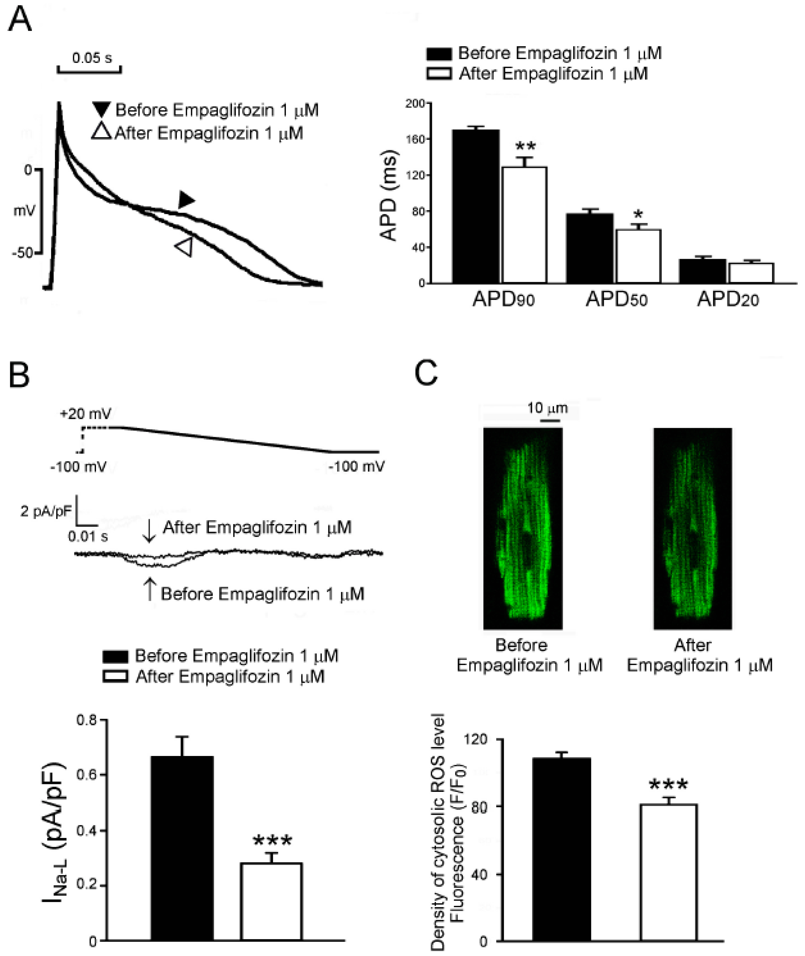 Ijms 20 01680 g006