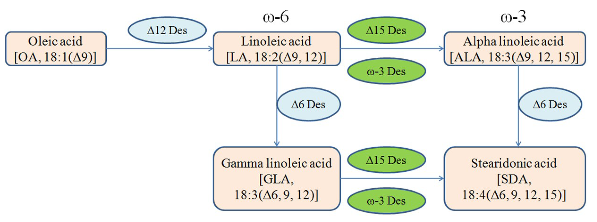 Ijms 20 01683 g001 Ijms 20 01683 g001