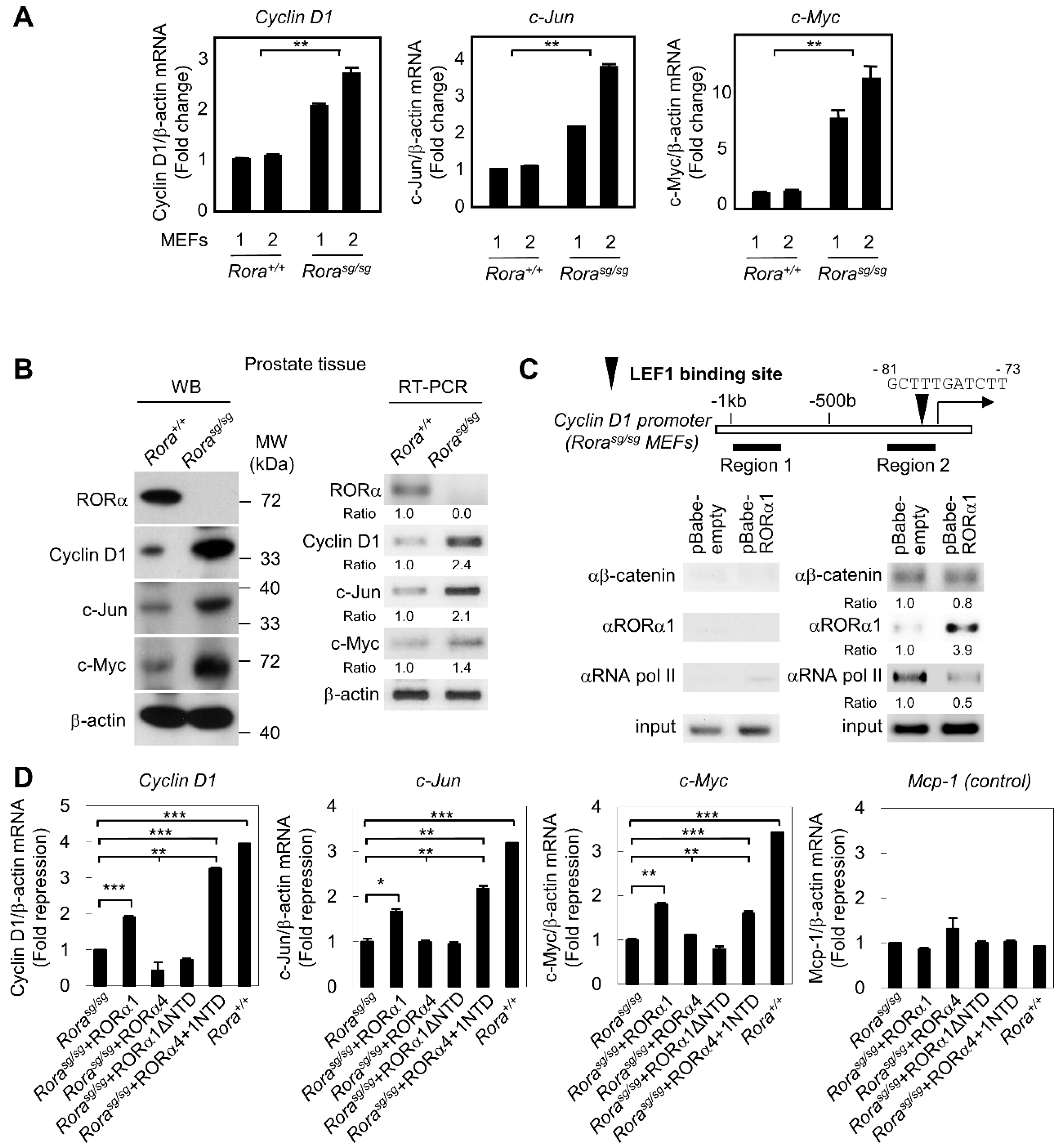 Ijms 20 01684 g002 Ijms 20 01684 g002