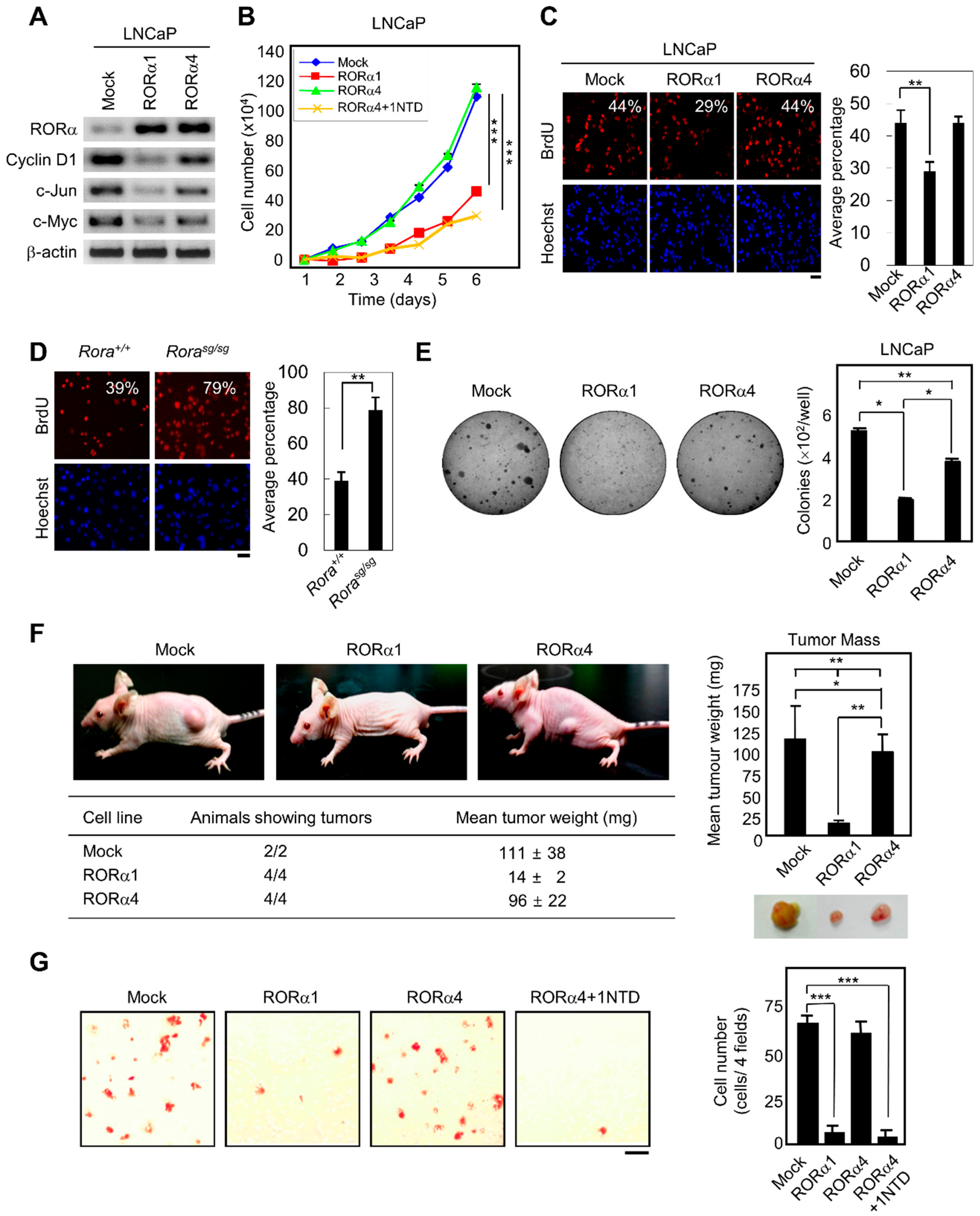 Ijms 20 01684 g003 Ijms 20 01684 g003