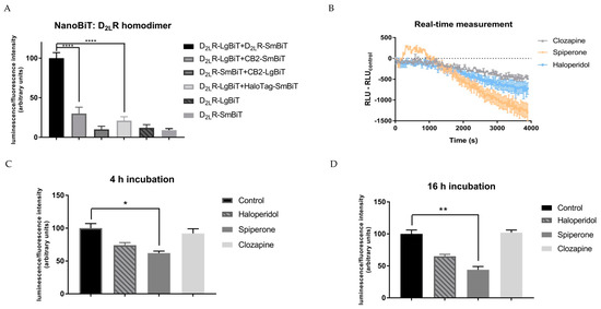 Homobivalent Dopamine D2 Receptor Ligands Modulate the Dynamic Equilibrium  of D2 Monomers and Homo- and Heterodimers