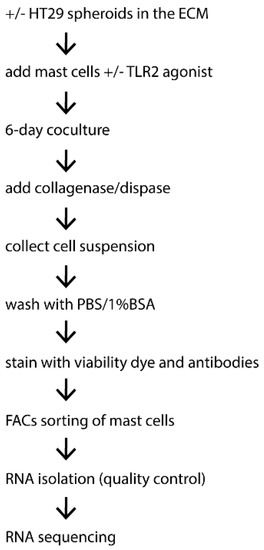 A Transcriptomic Insight into the Impact of Colon Cancer Cells on