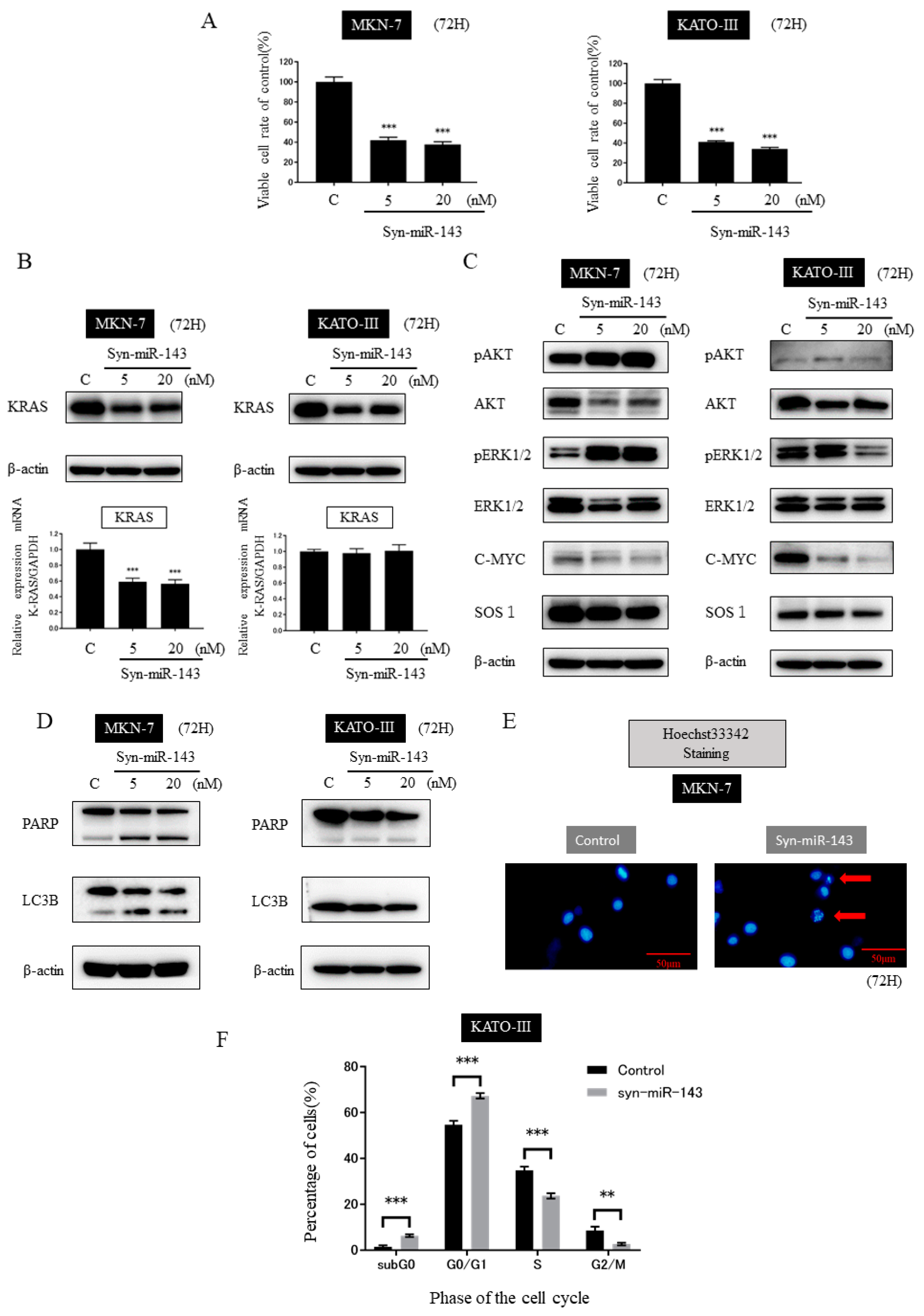 Ijms 20 01697 g002 Ijms 20 01697 g002