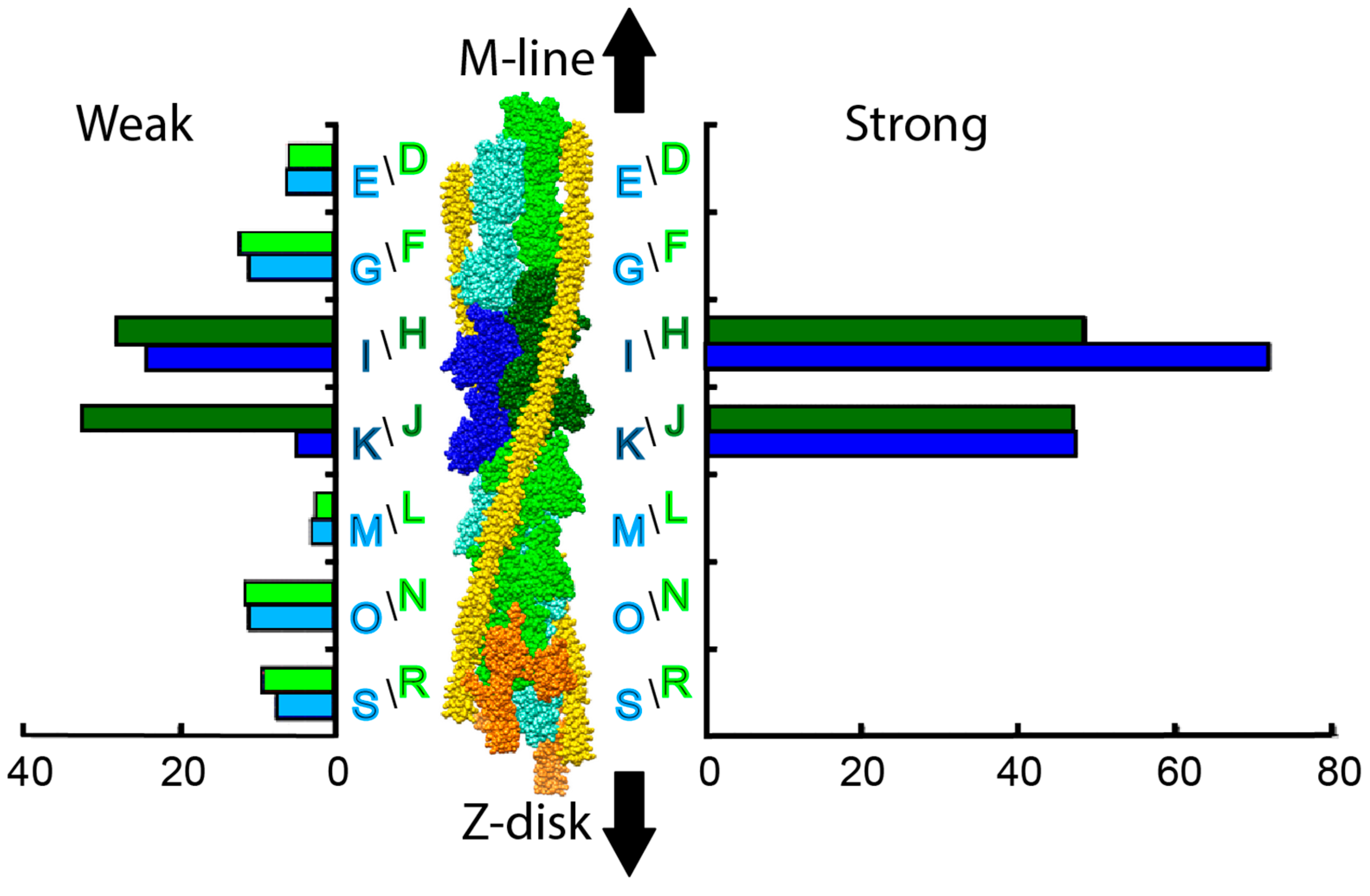 Ijms 20 01703 g006 550