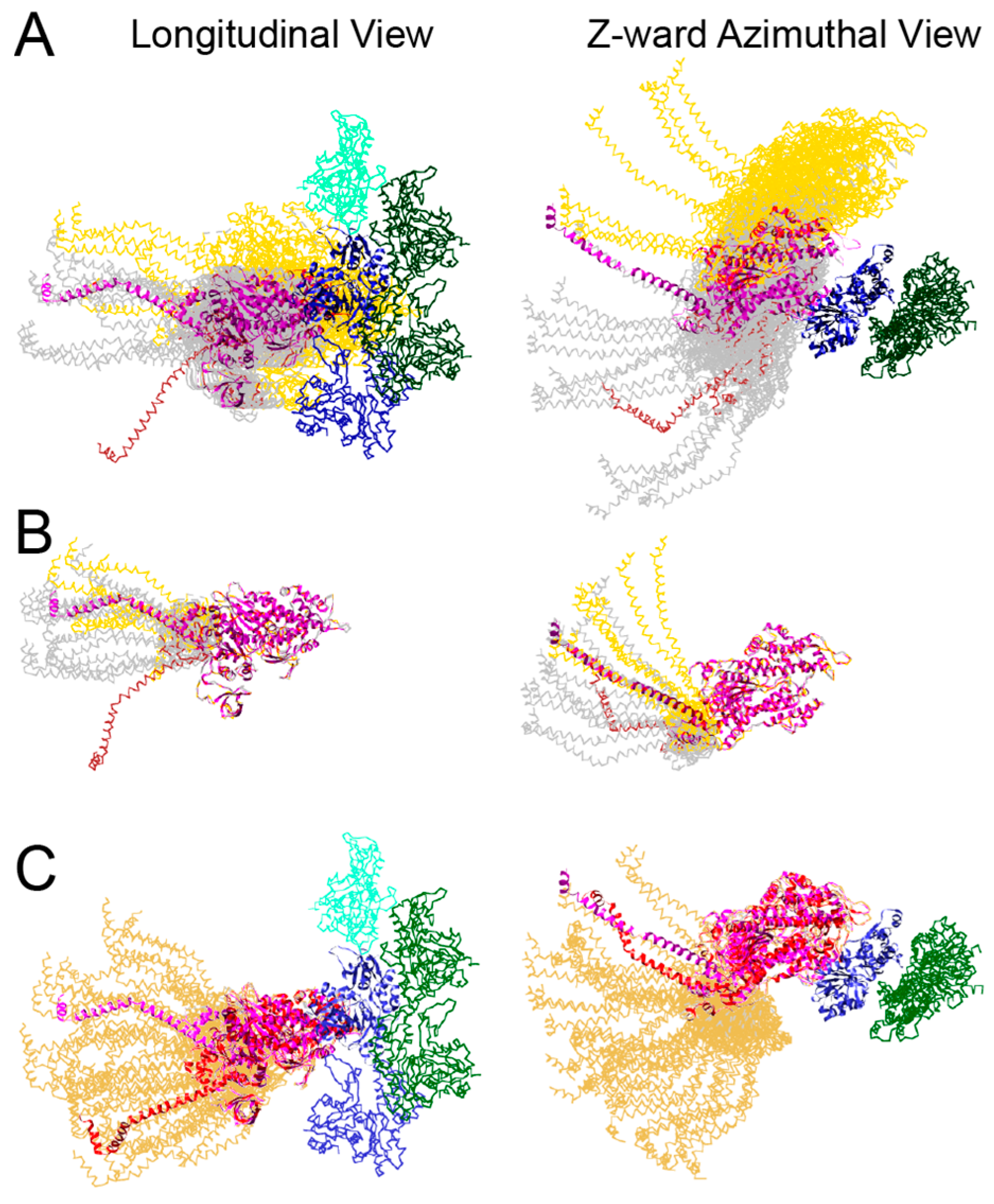 Ijms 20 01703 g008 550