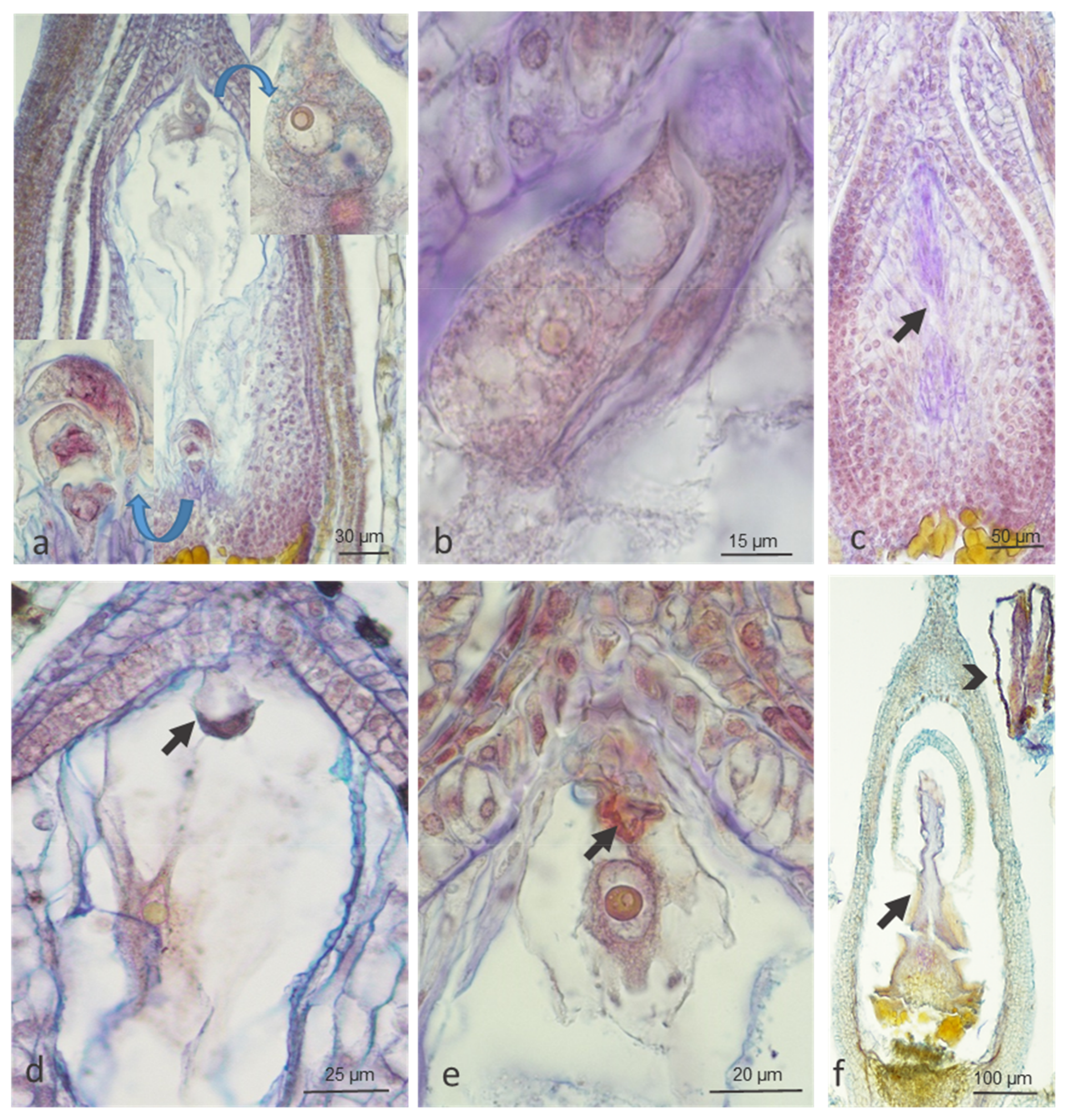 Ijms 20 01705 g003 550