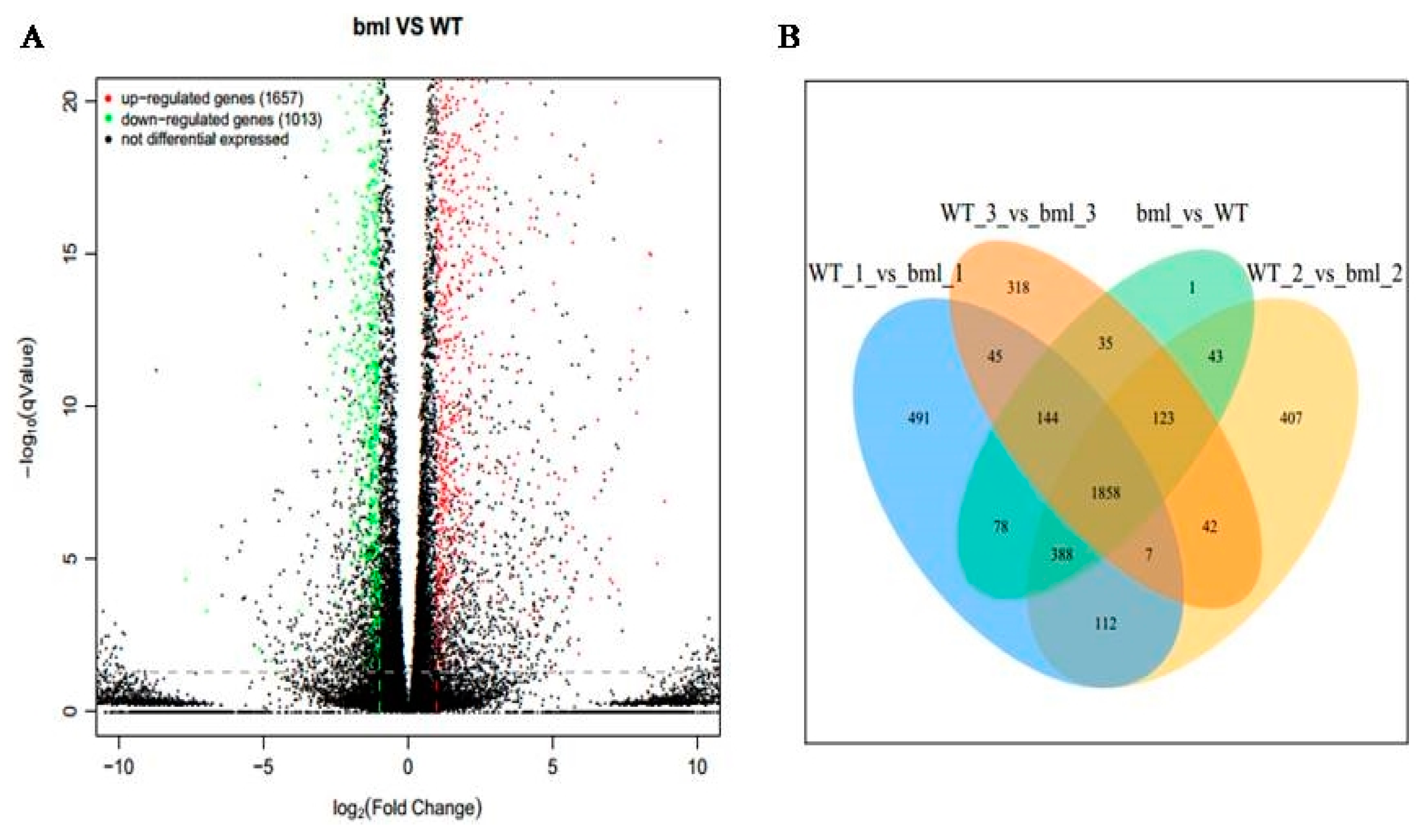 Ijms 20 01708 g003 550
