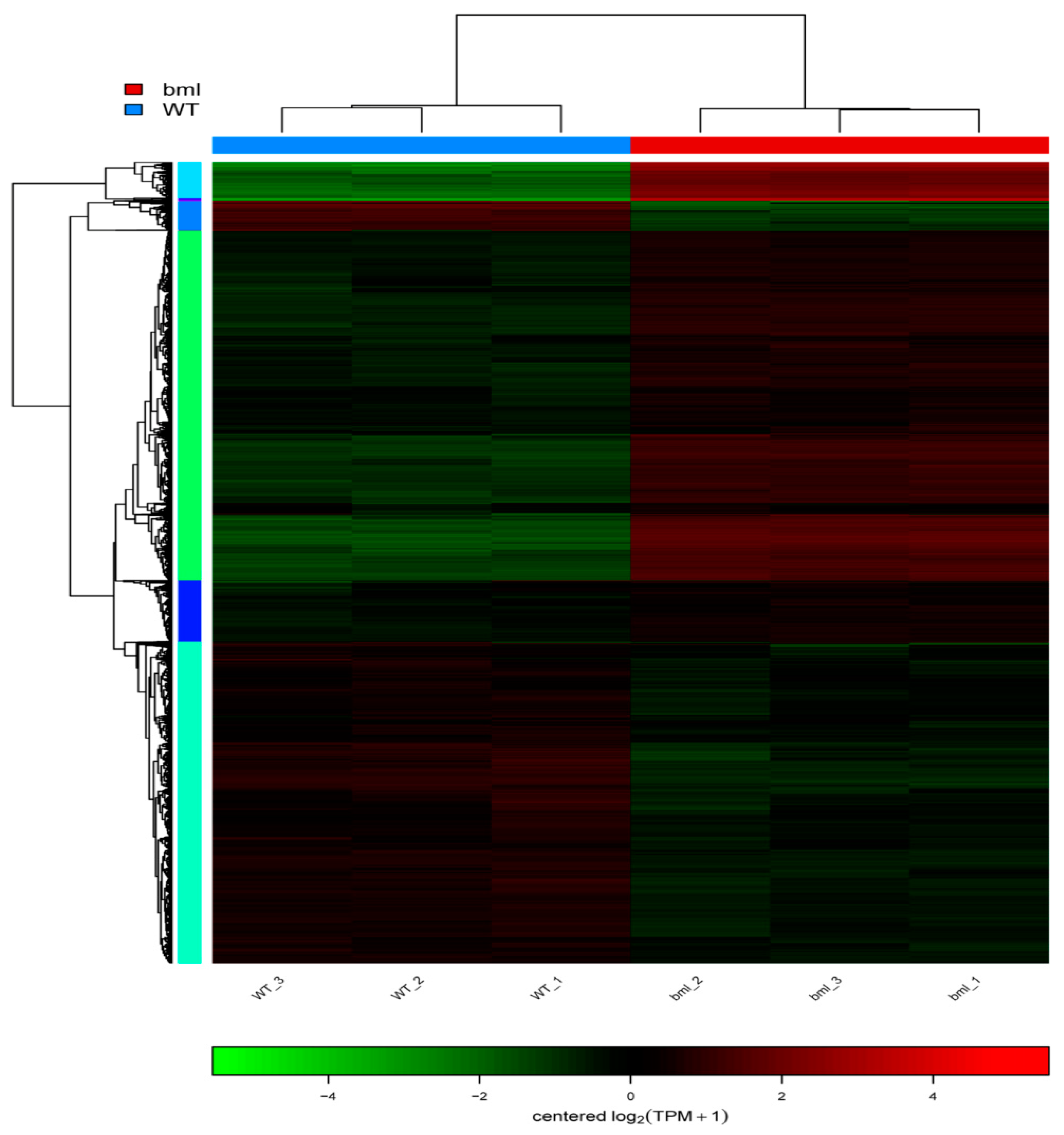 Ijms 20 01708 g007 550