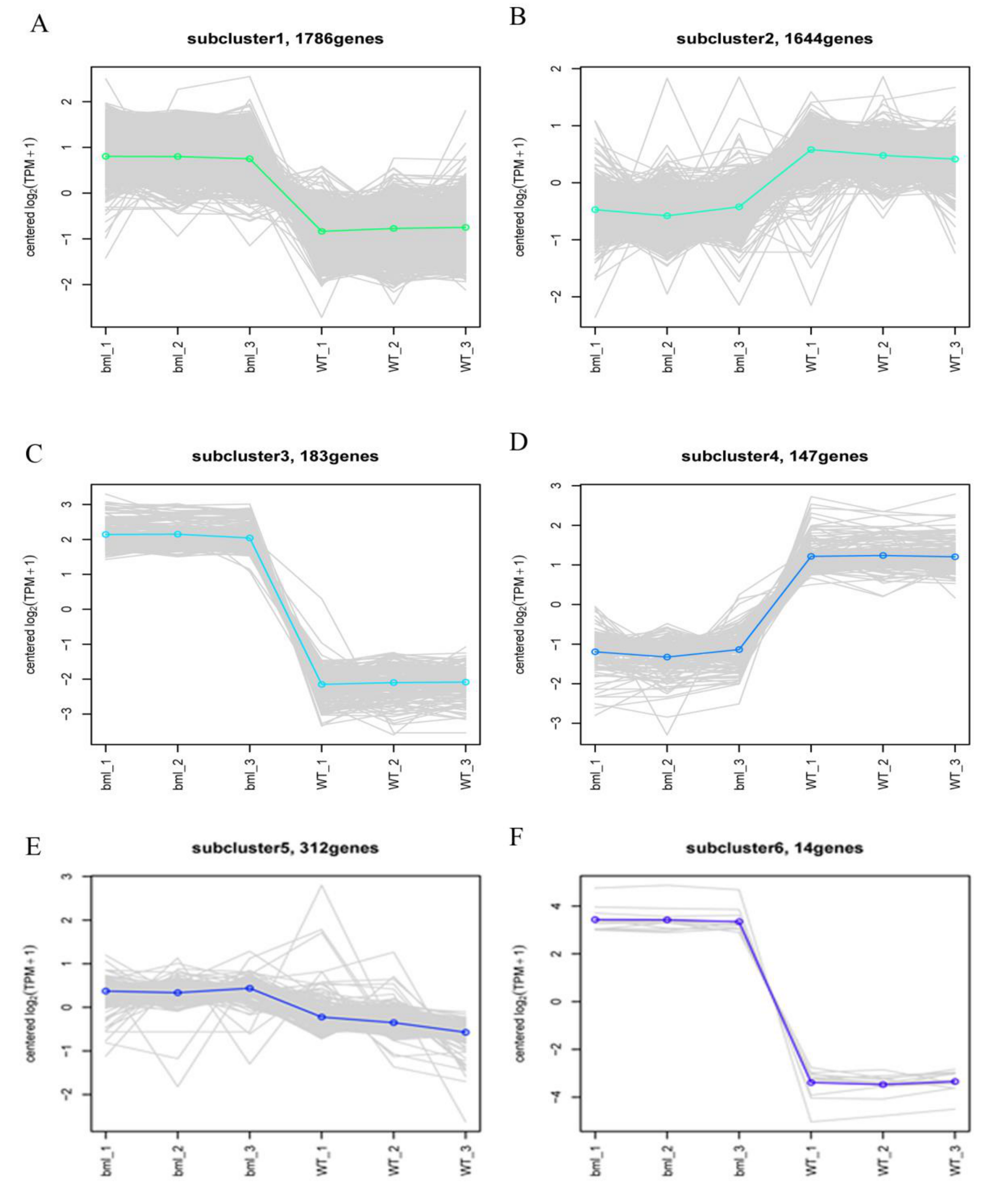 Ijms 20 01708 g008 550