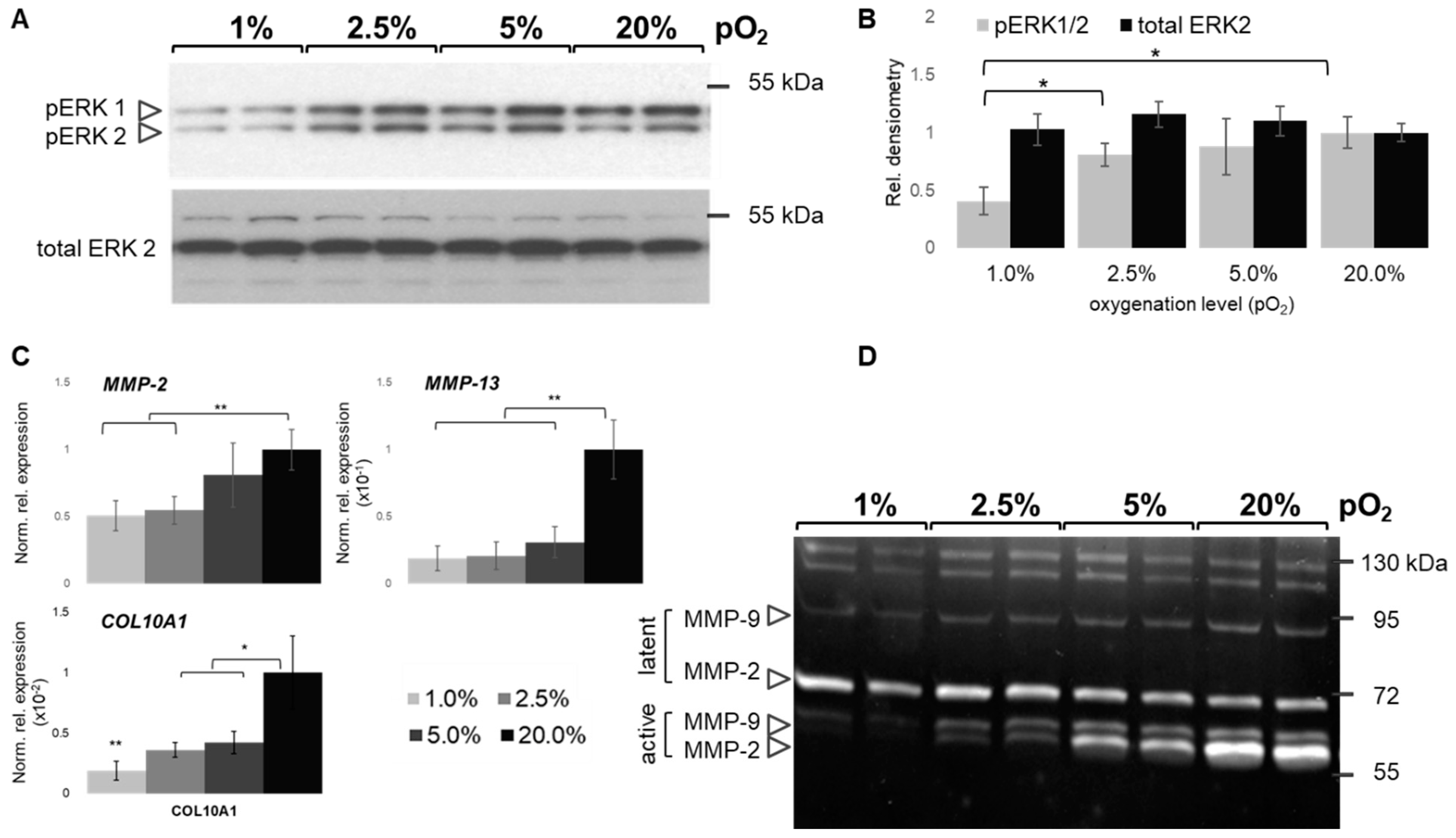 Ijms 20 01715 g007