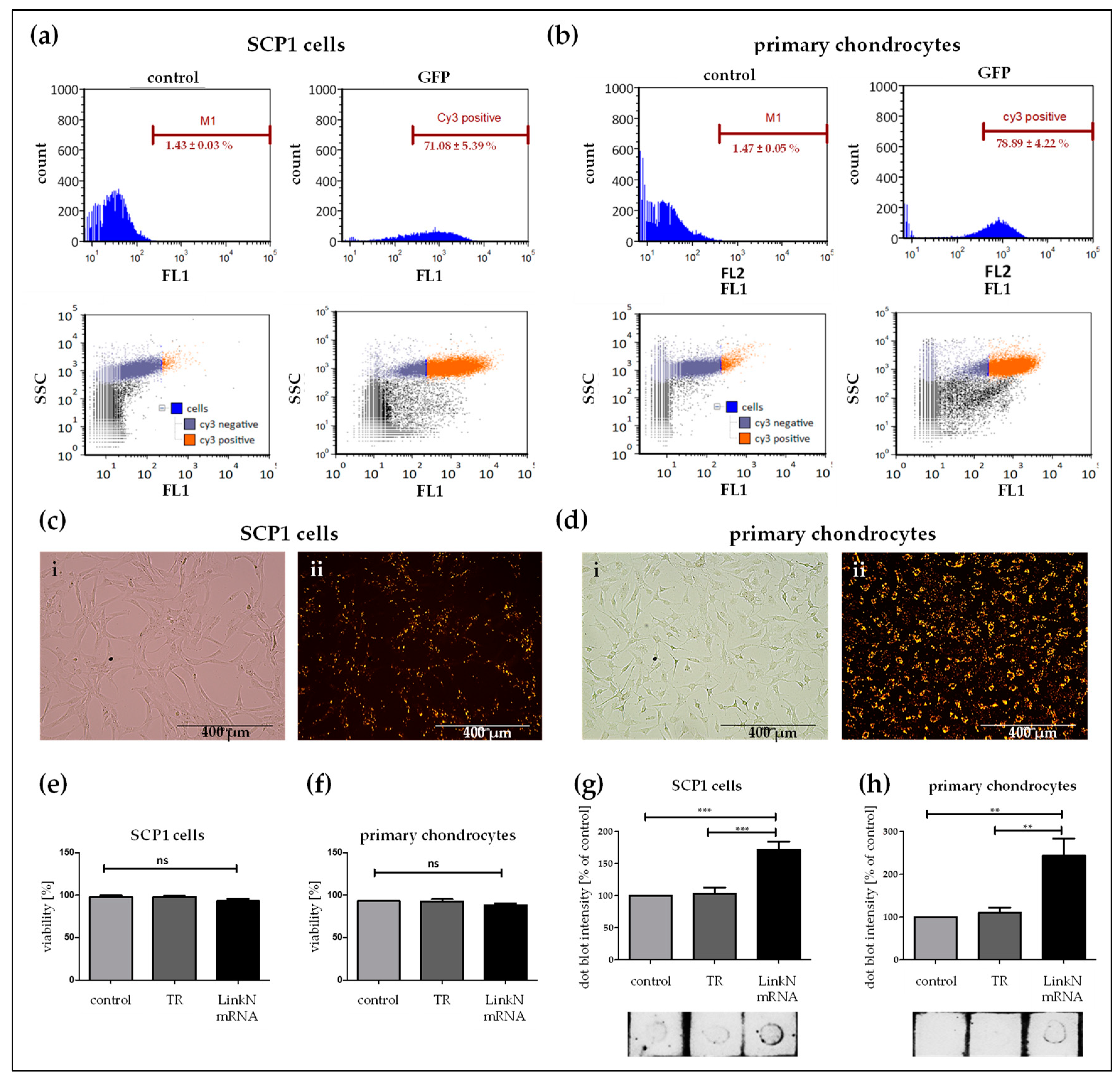 Ijms 20 01716 g003 Ijms 20 01716 g003