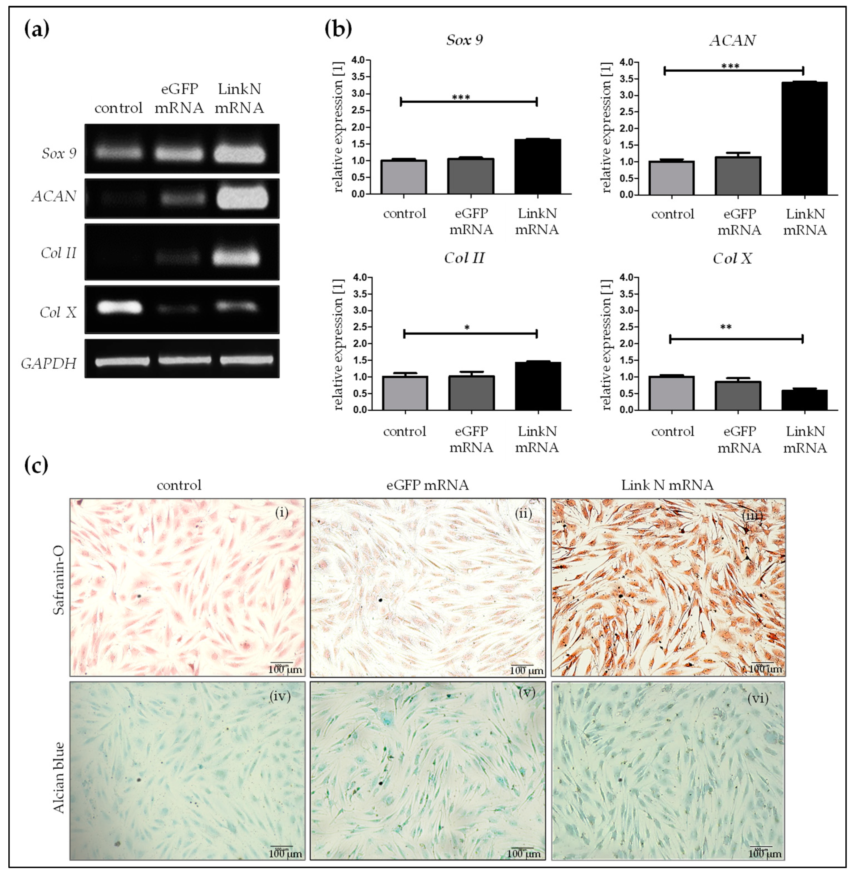 Ijms 20 01716 g004 Ijms 20 01716 g004