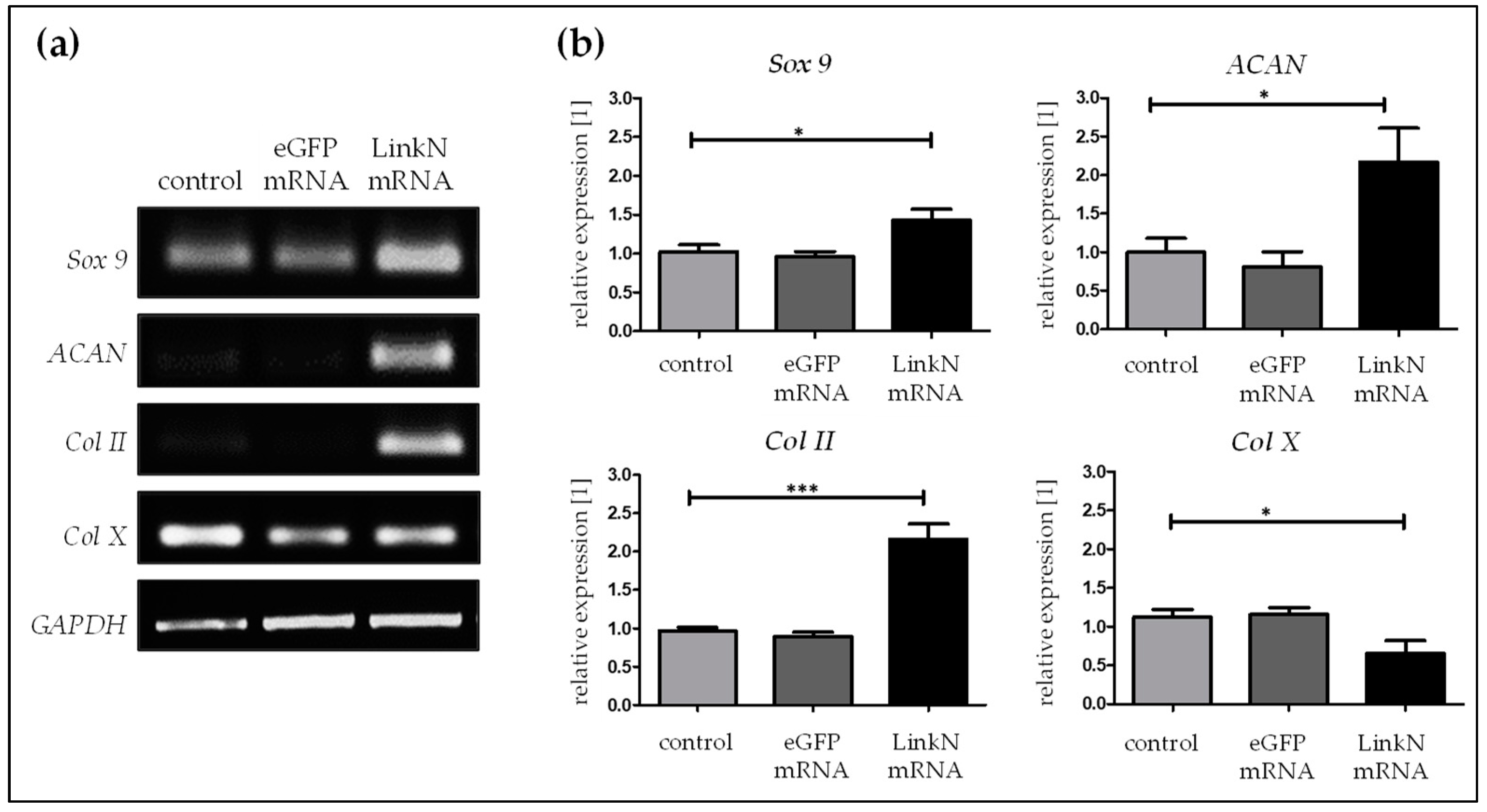Ijms 20 01716 g005 Ijms 20 01716 g005