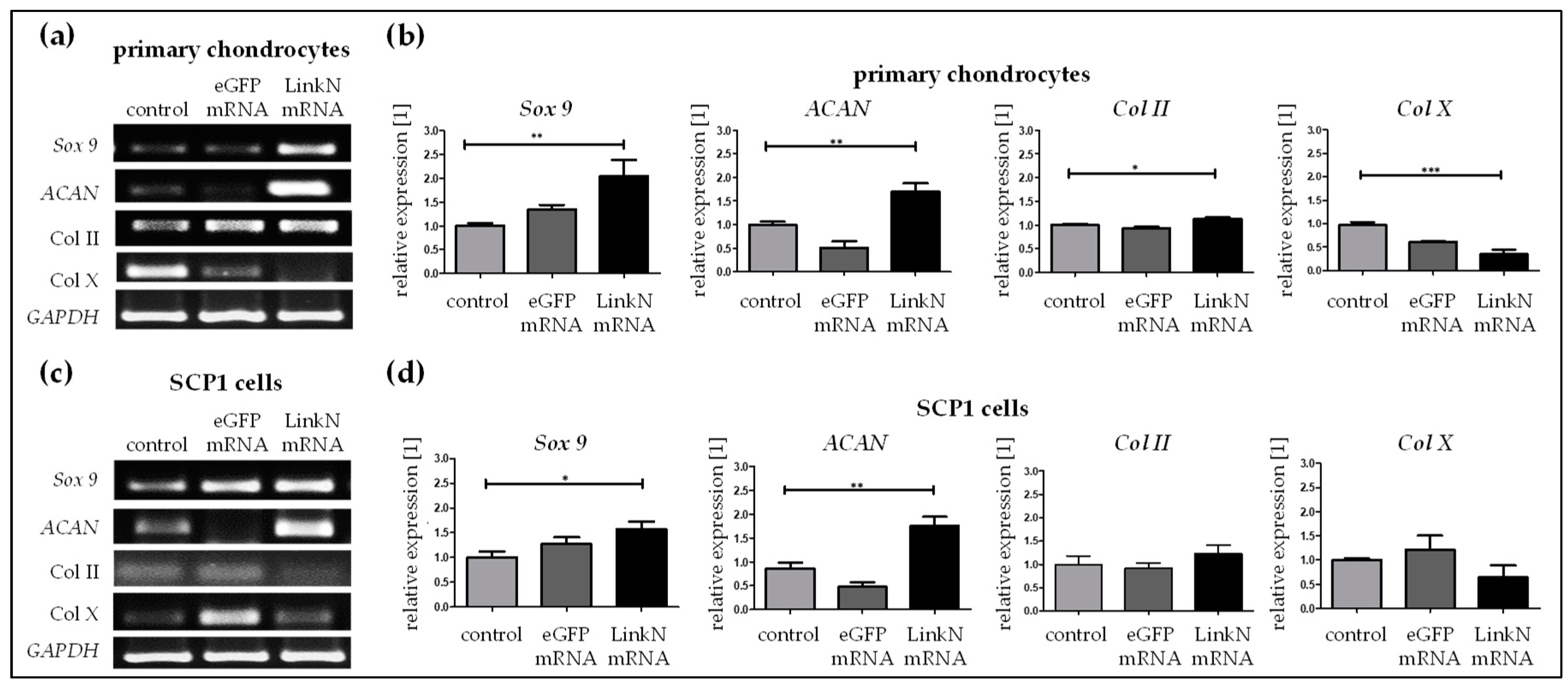 Ijms 20 01716 g008 Ijms 20 01716 g008