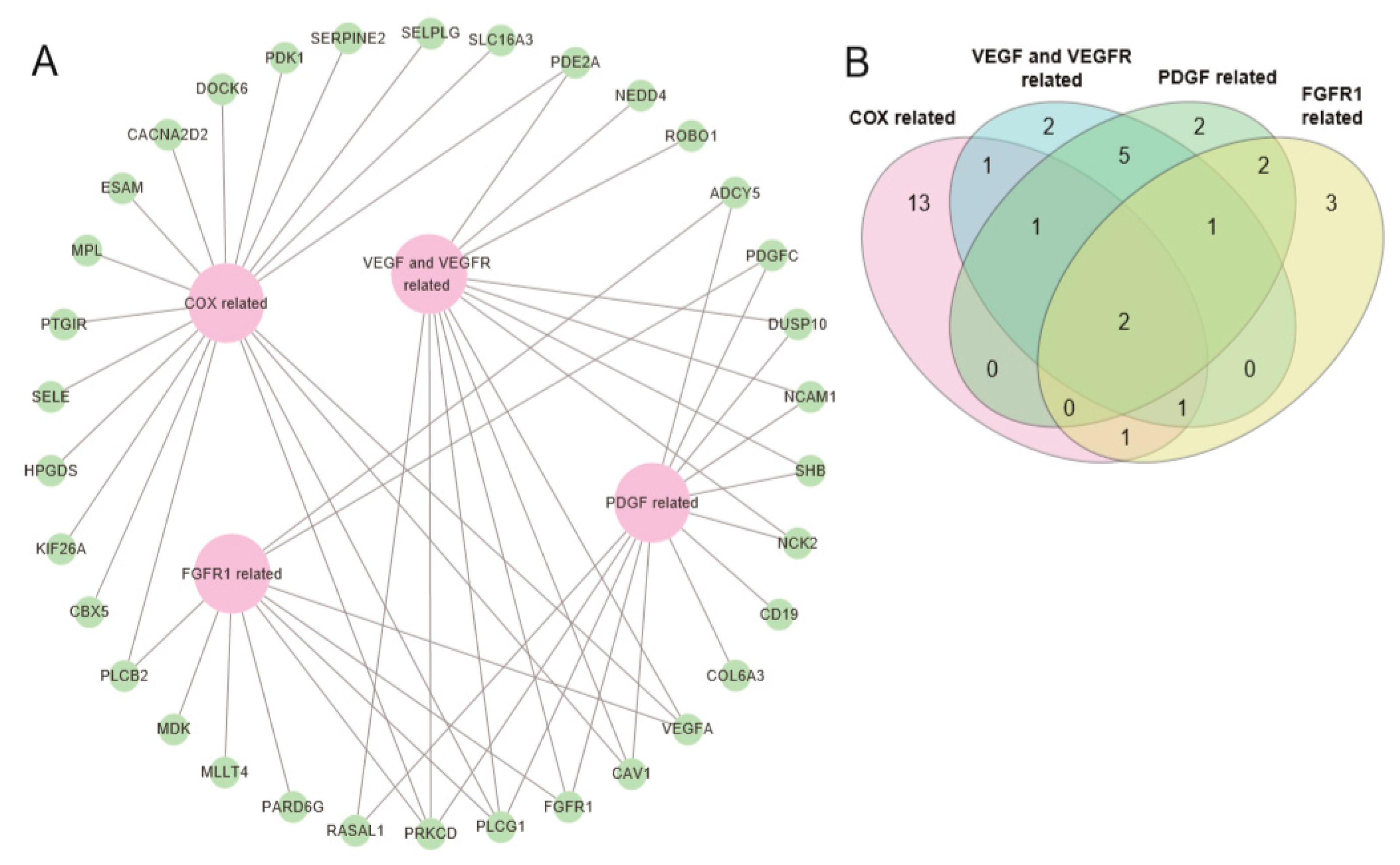 Ijms 20 01717 g003 Ijms 20 01717 g003