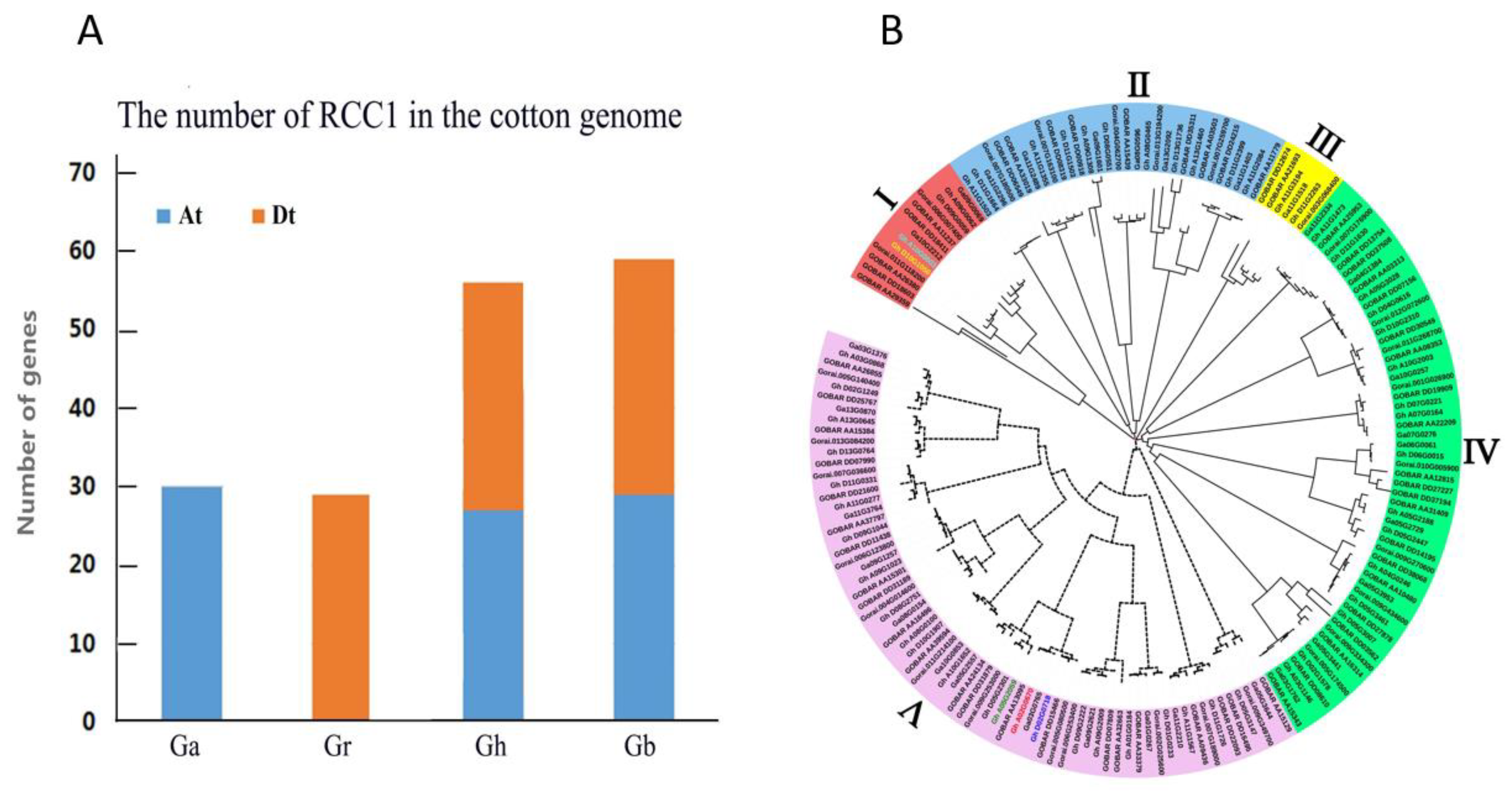 Ijms 20 01727 g001 Ijms 20 01727 g001