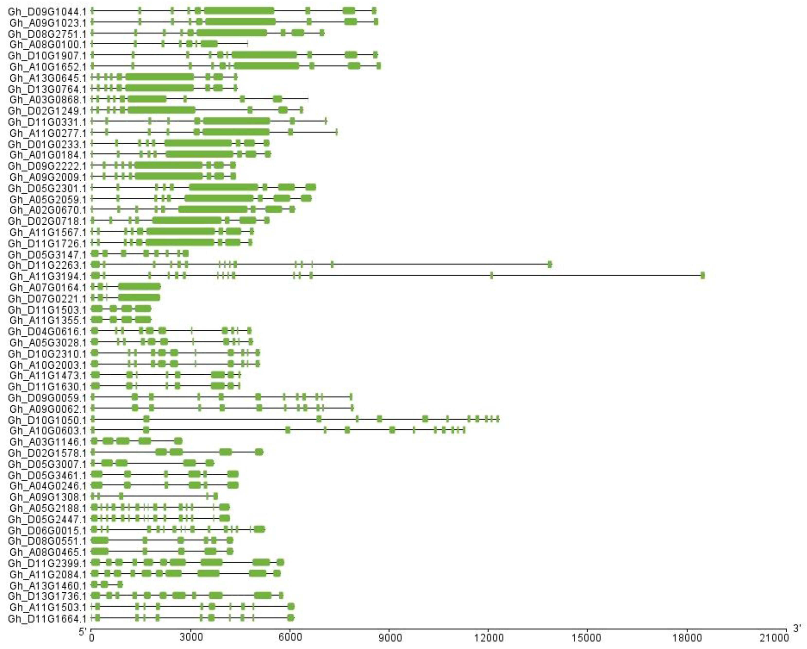 Ijms 20 01727 g002 Ijms 20 01727 g002