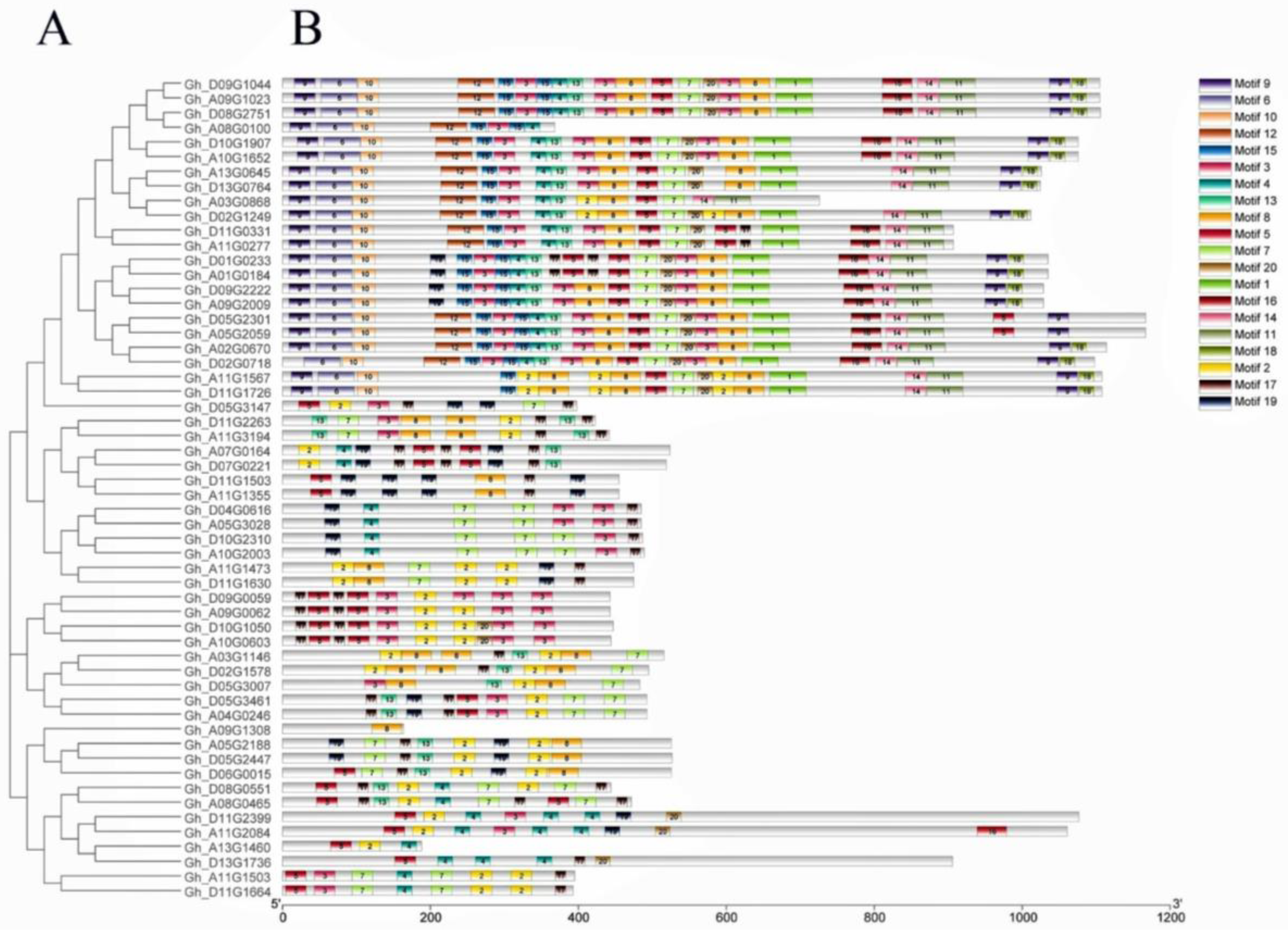 Ijms 20 01727 g003 Ijms 20 01727 g003
