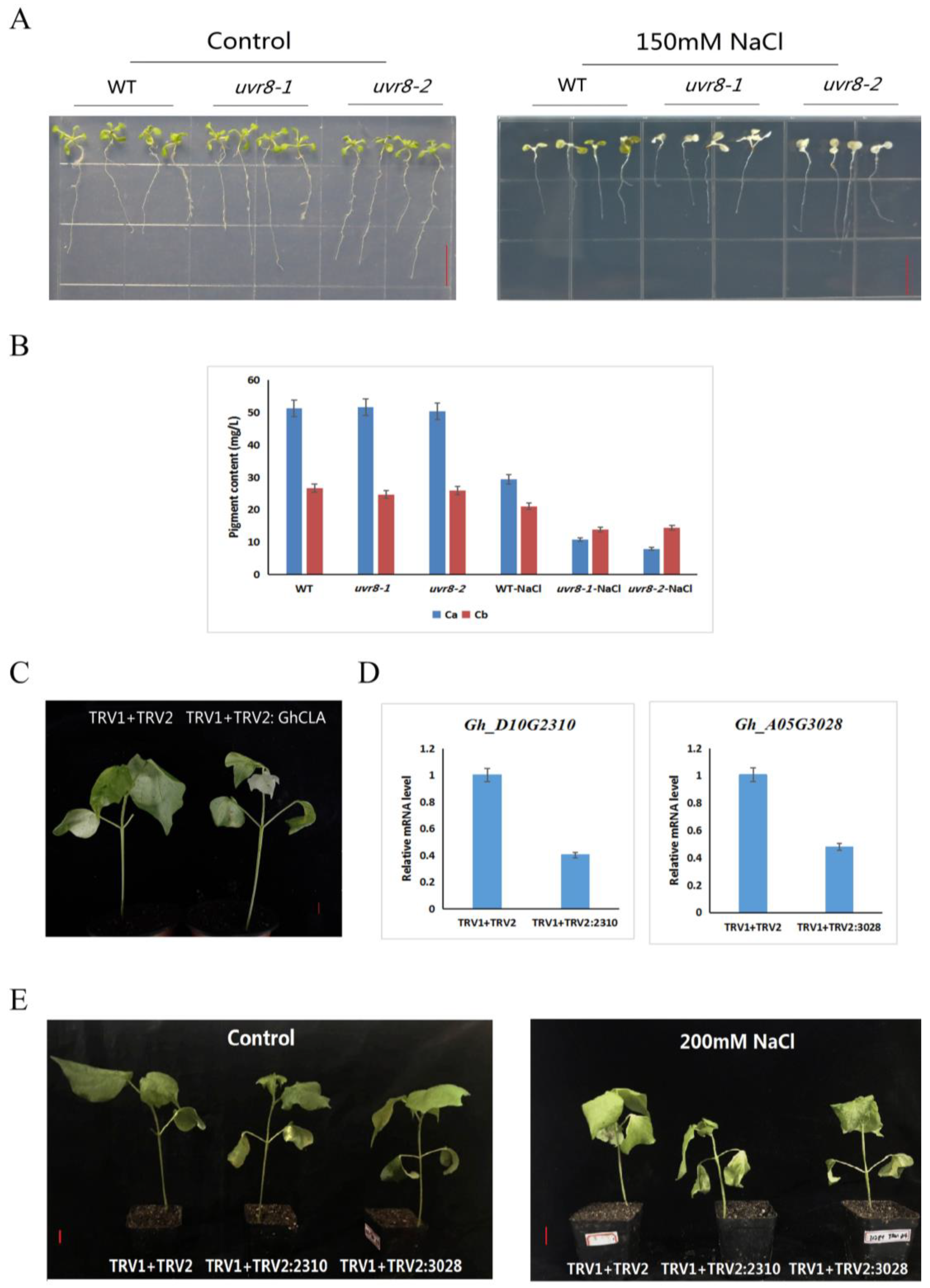 Ijms 20 01727 g008 Ijms 20 01727 g008