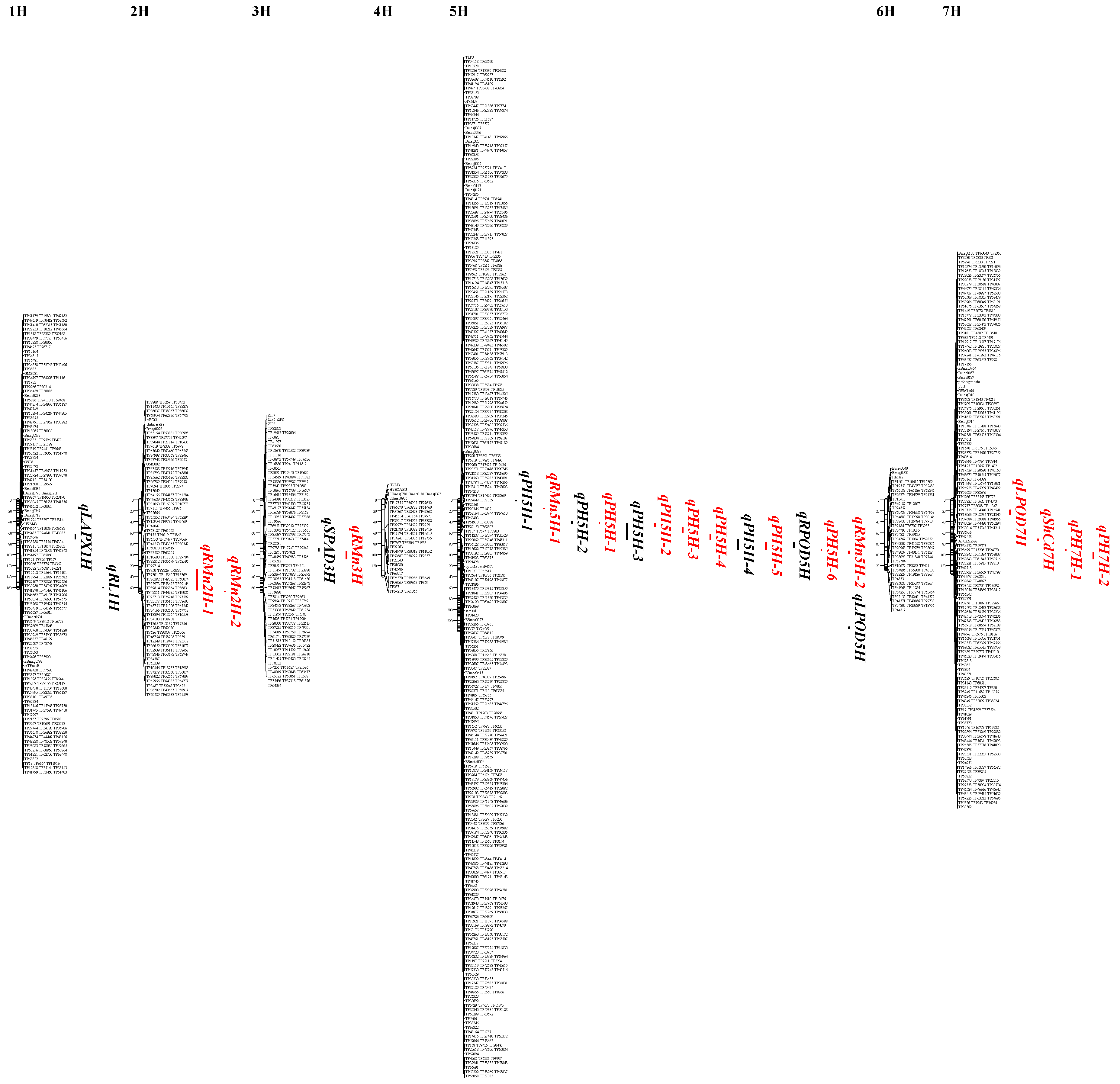 Ijms 20 01732 g002 Ijms 20 01732 g002