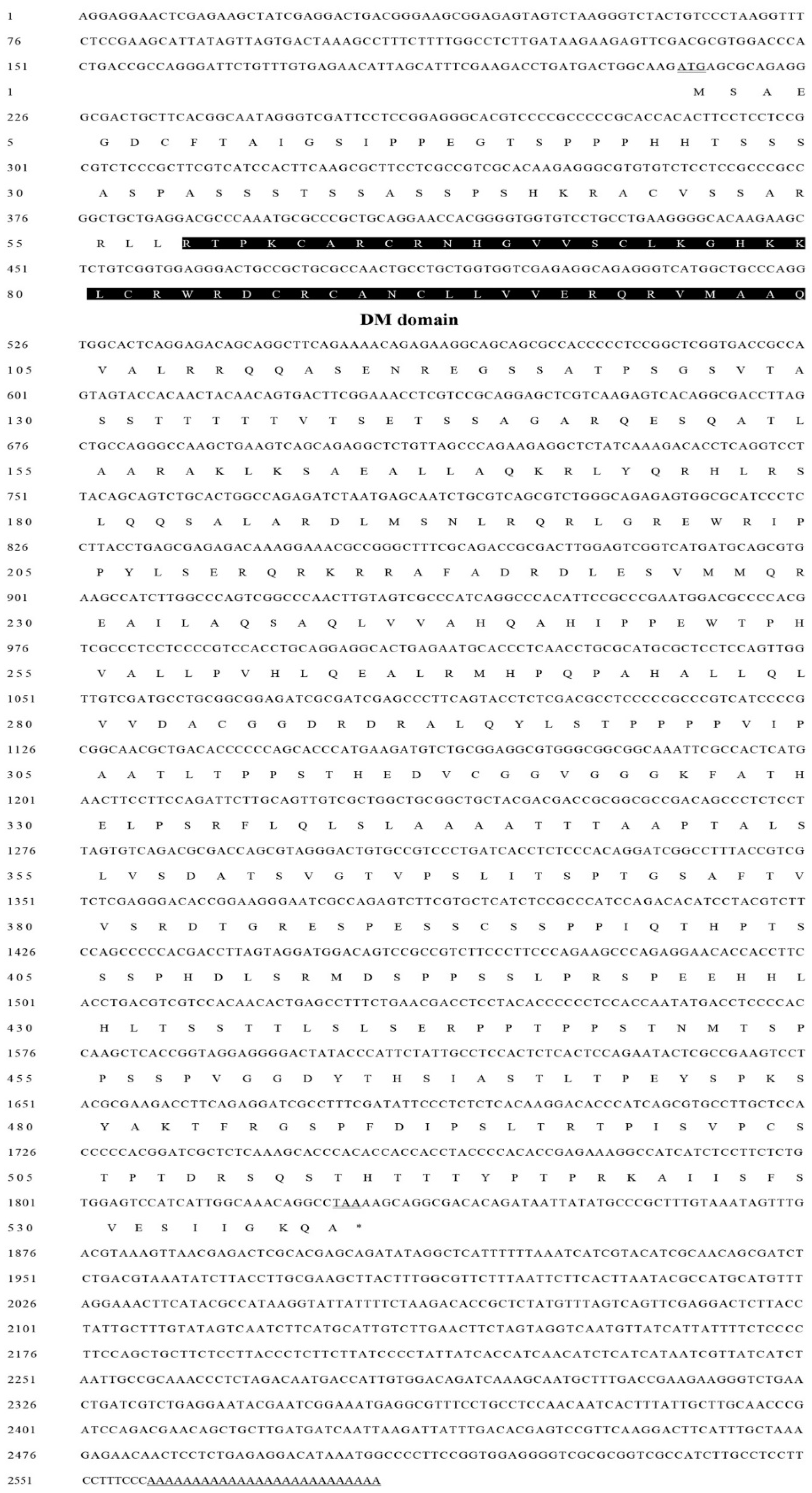 Ijms 20 01734 g001 Ijms 20 01734 g001