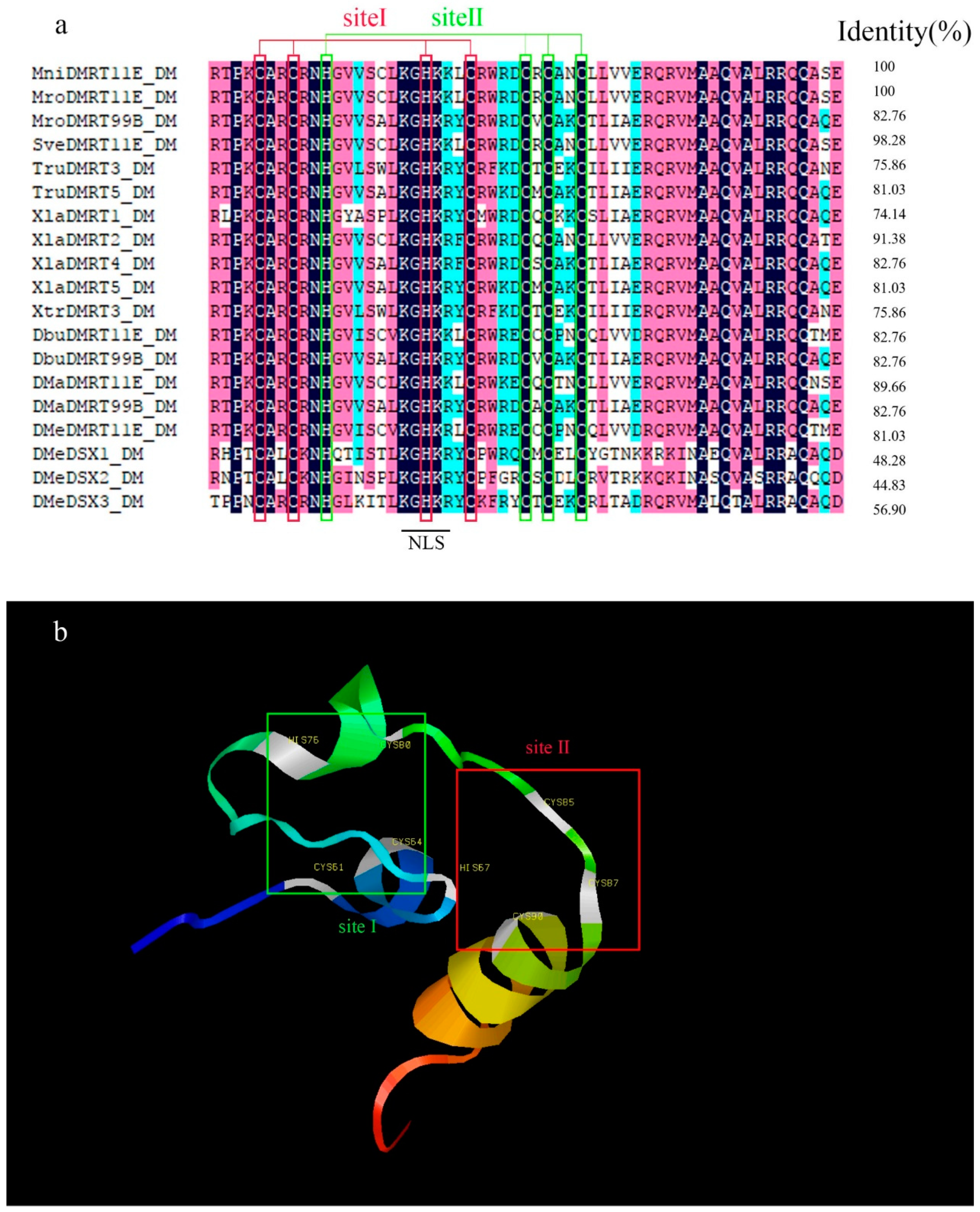 Ijms 20 01734 g002 Ijms 20 01734 g002