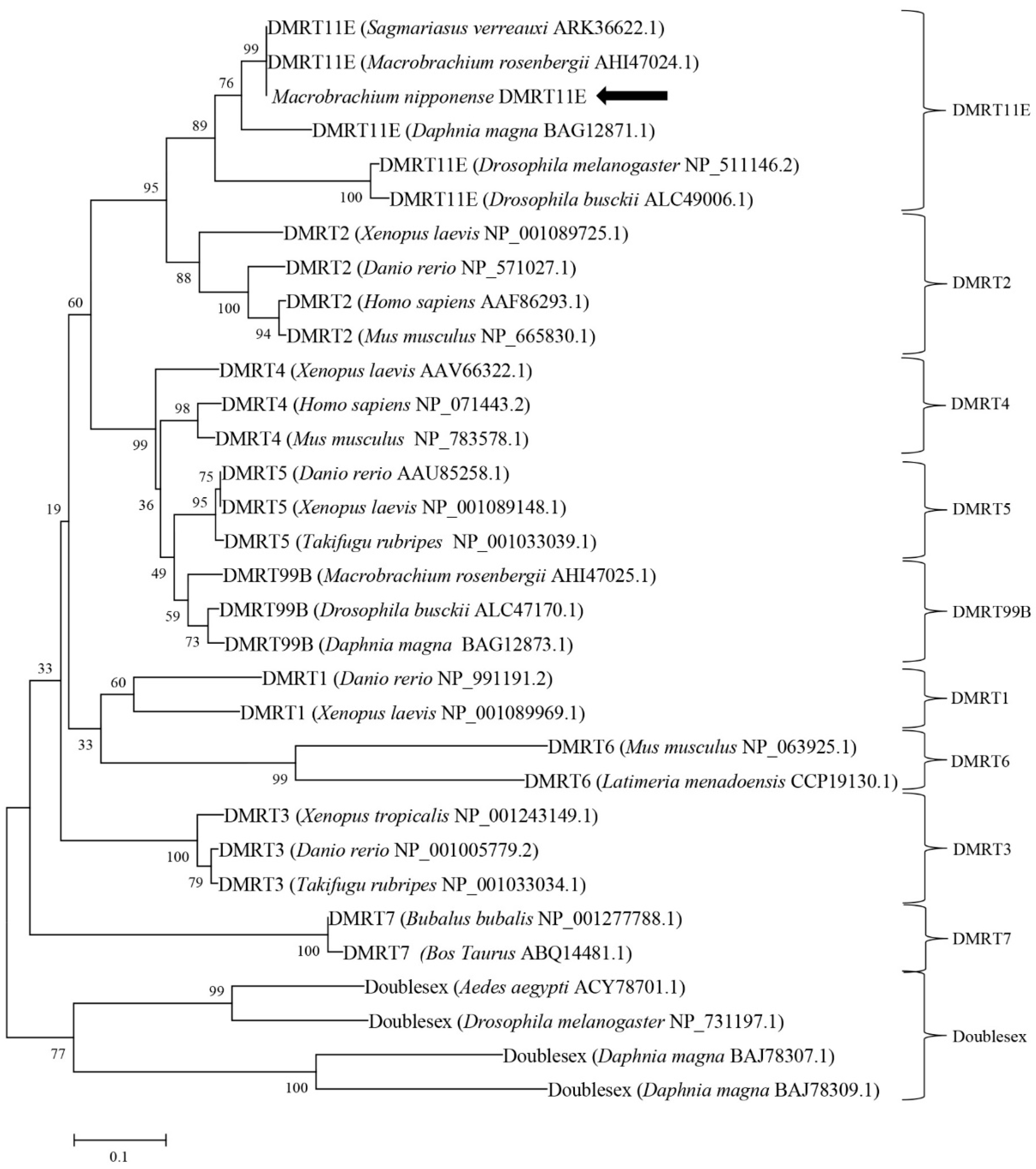 Ijms 20 01734 g003 Ijms 20 01734 g003