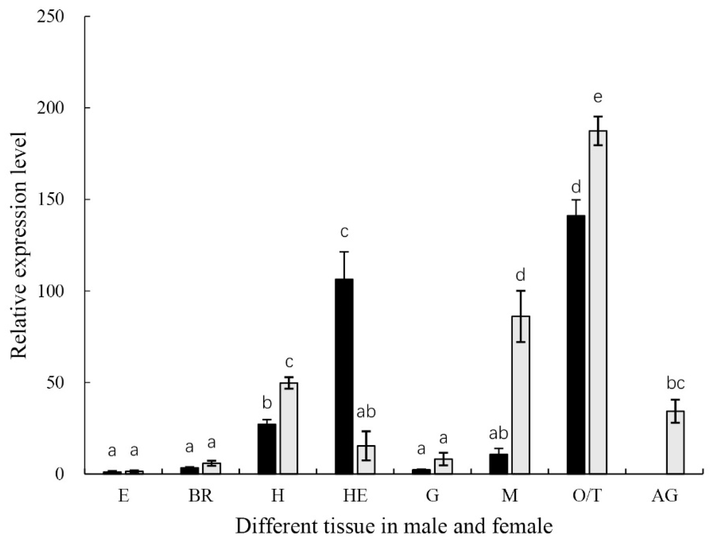 Ijms 20 01734 g004 Ijms 20 01734 g004