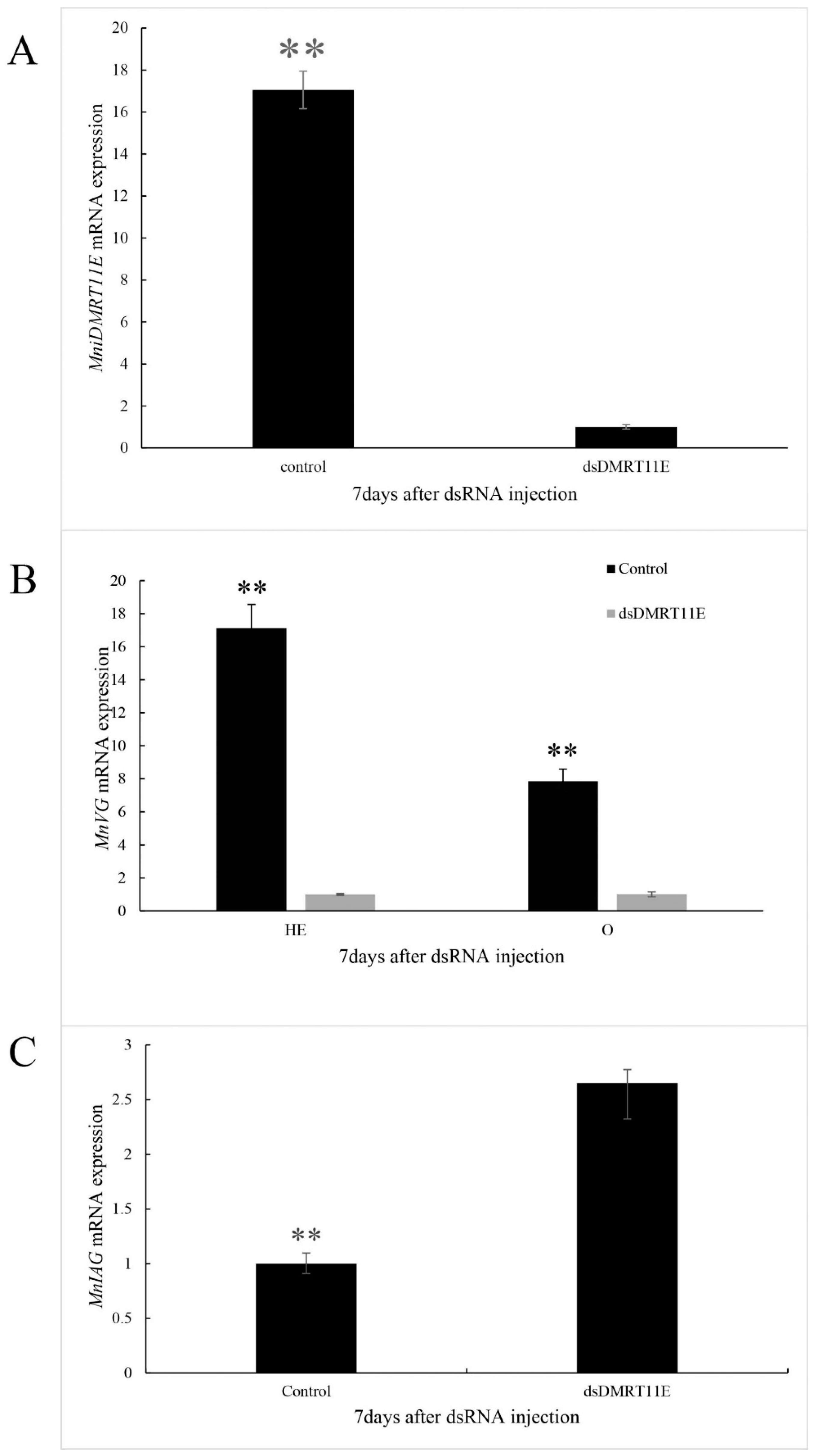 Ijms 20 01734 g009 Ijms 20 01734 g009