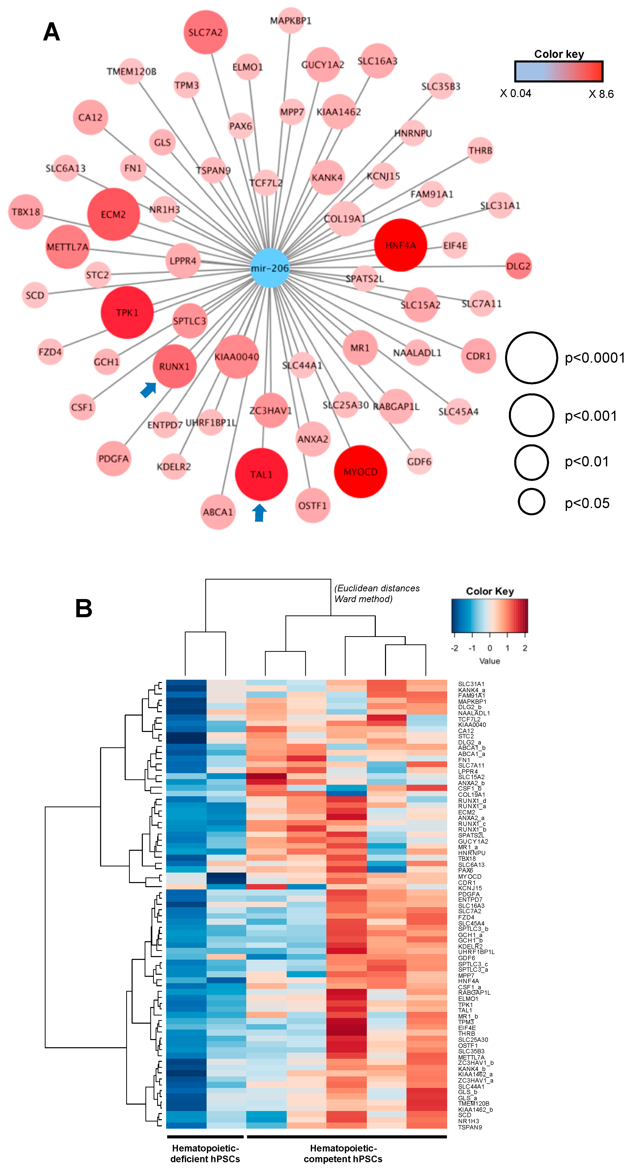 Ijms 20 01737 g004 Ijms 20 01737 g004