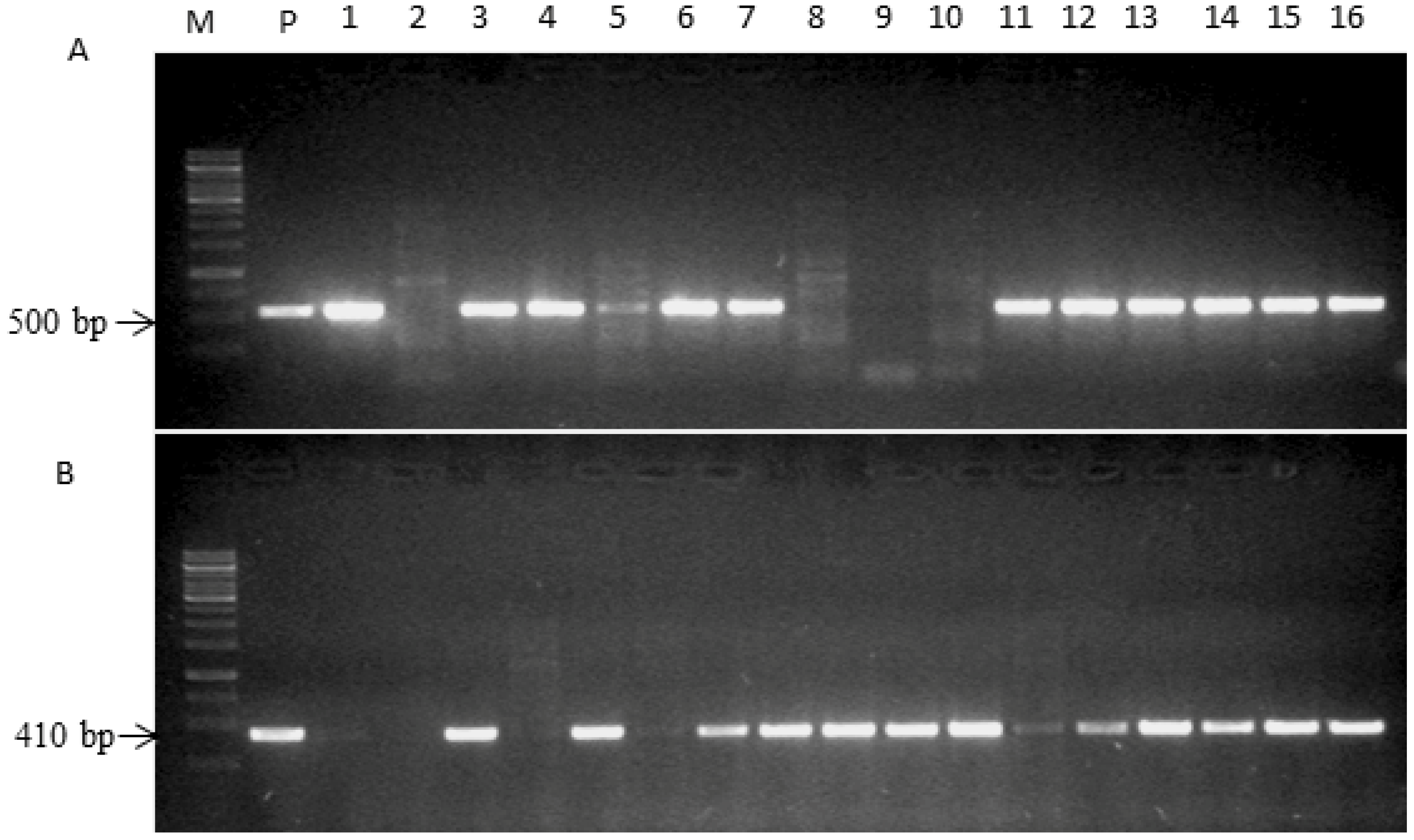 Ijms 20 01740 g002 Ijms 20 01740 g002