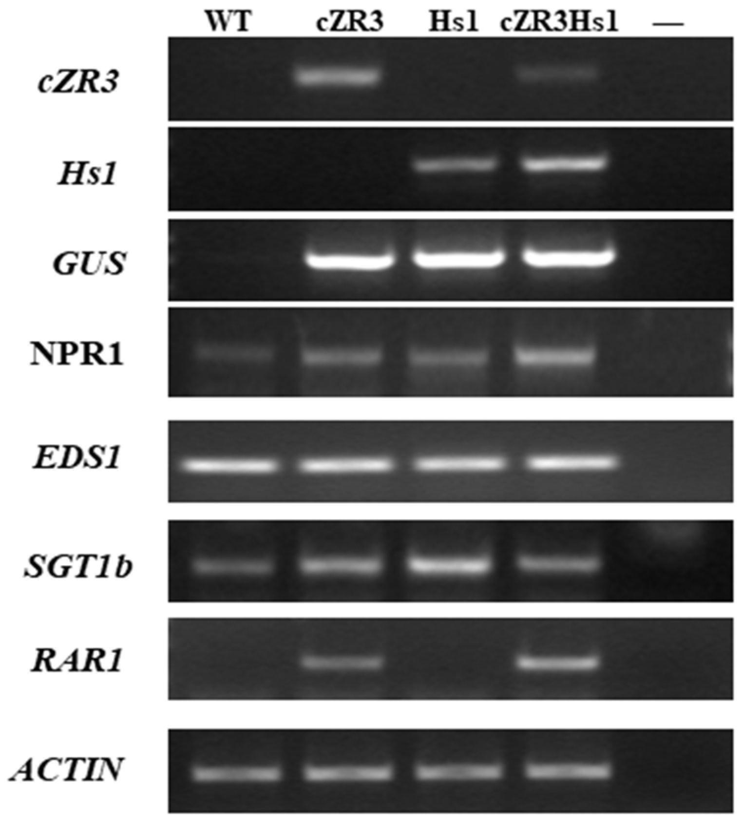 Ijms 20 01740 g007 Ijms 20 01740 g007