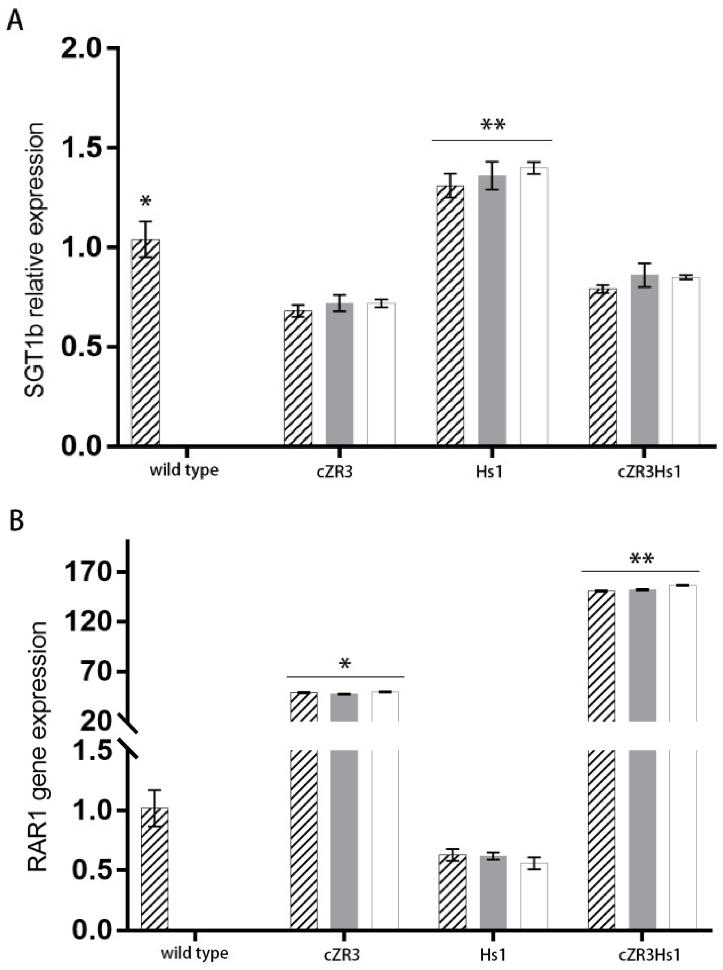Ijms 20 01740 g008 Ijms 20 01740 g008