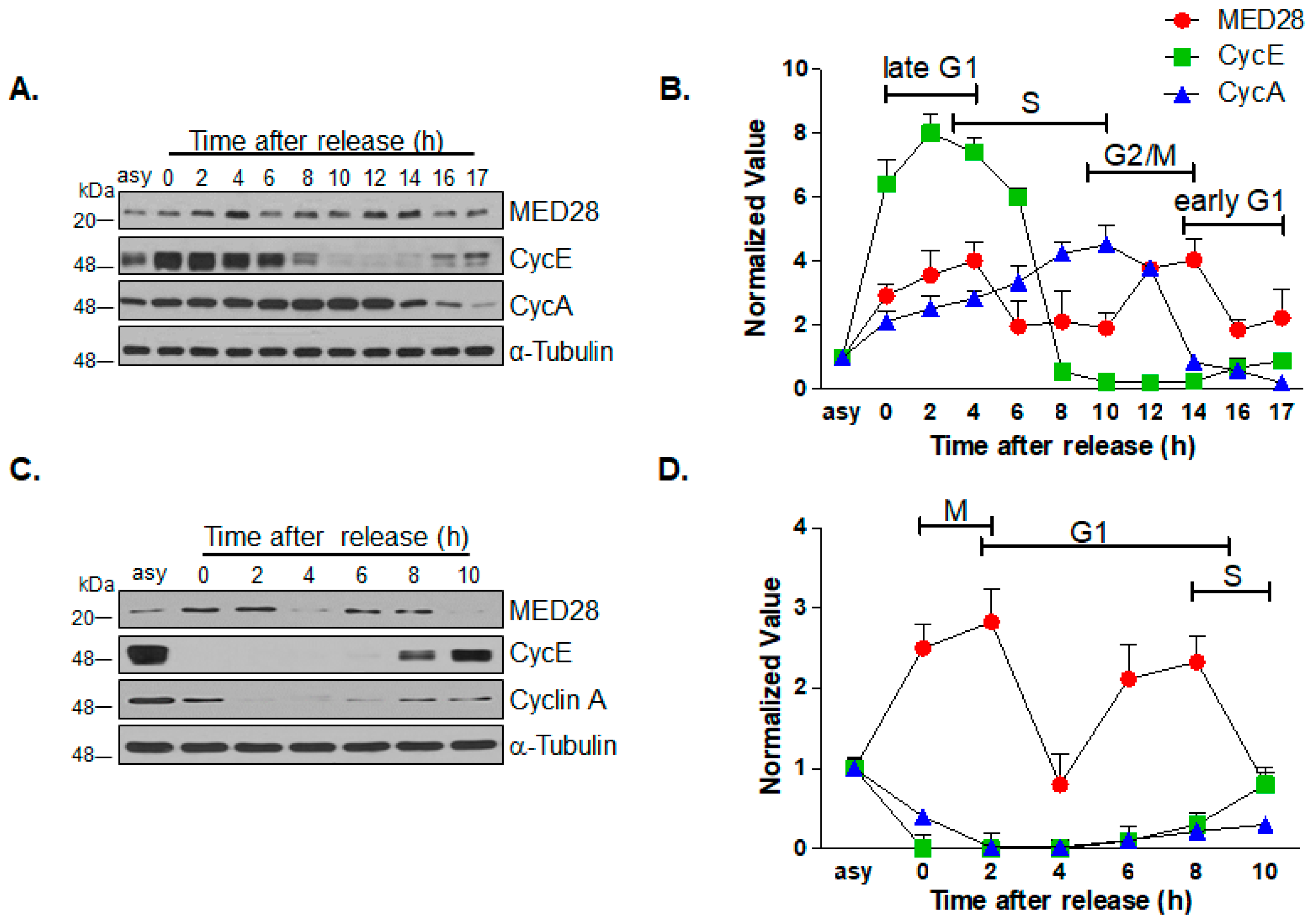 Ijms 20 01746 g002 Ijms 20 01746 g002