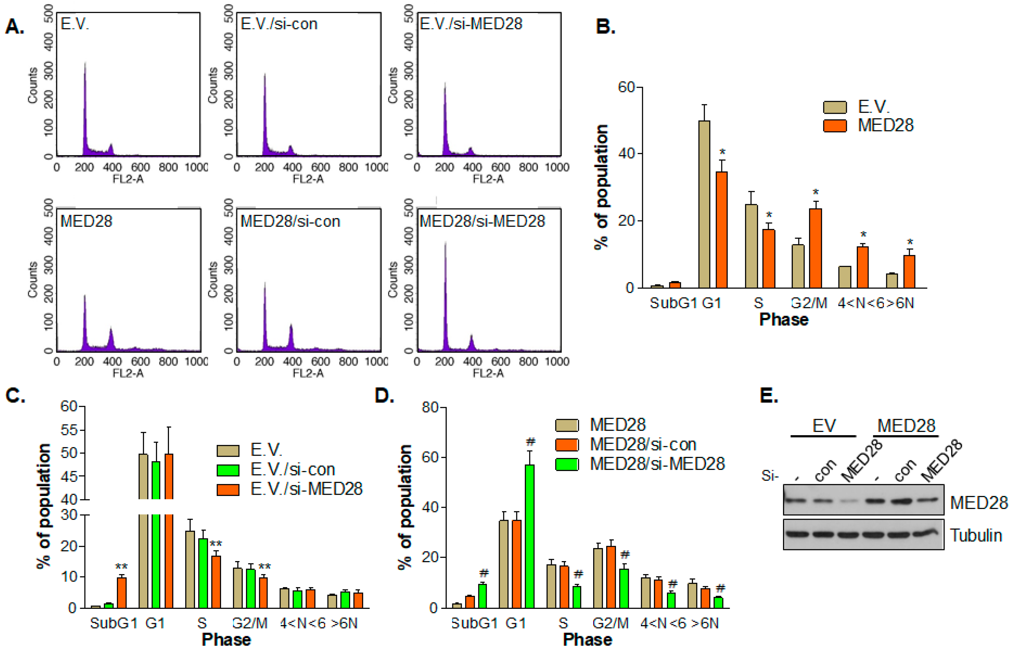 Ijms 20 01746 g004 Ijms 20 01746 g004