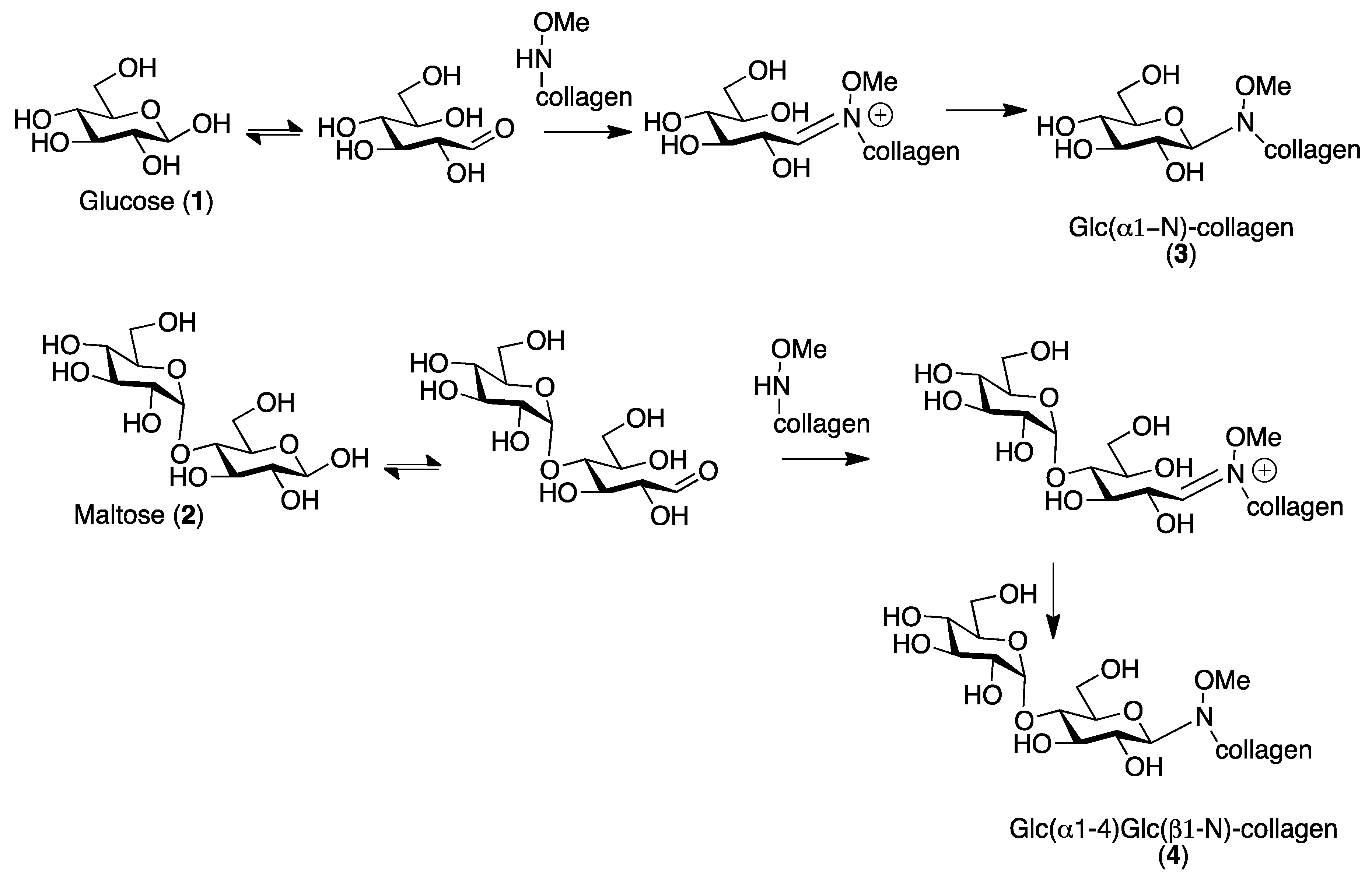 Ijms 20 01747 sch001