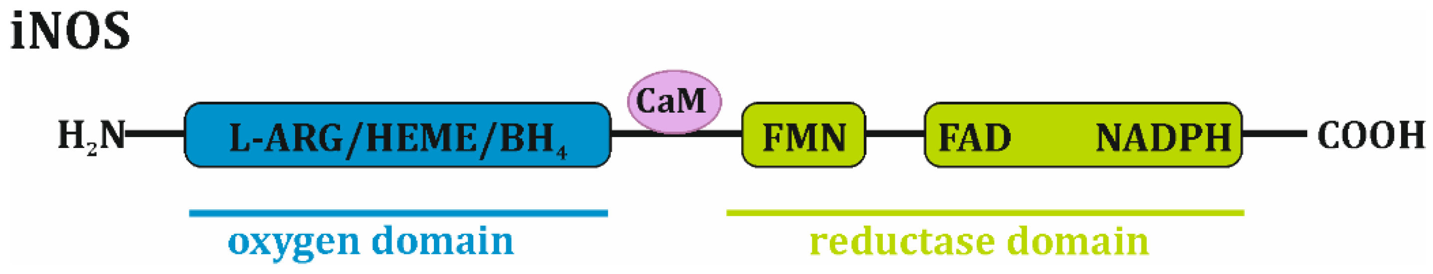 Ijms 20 01751 g001 550