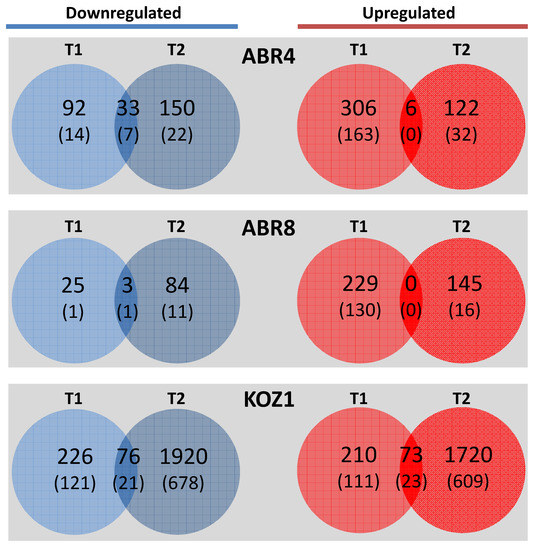 Transcriptional and Metabolomic Analyses Indicate that Cell Transcriptional and Metabolomic Analyses Indicate that Cell