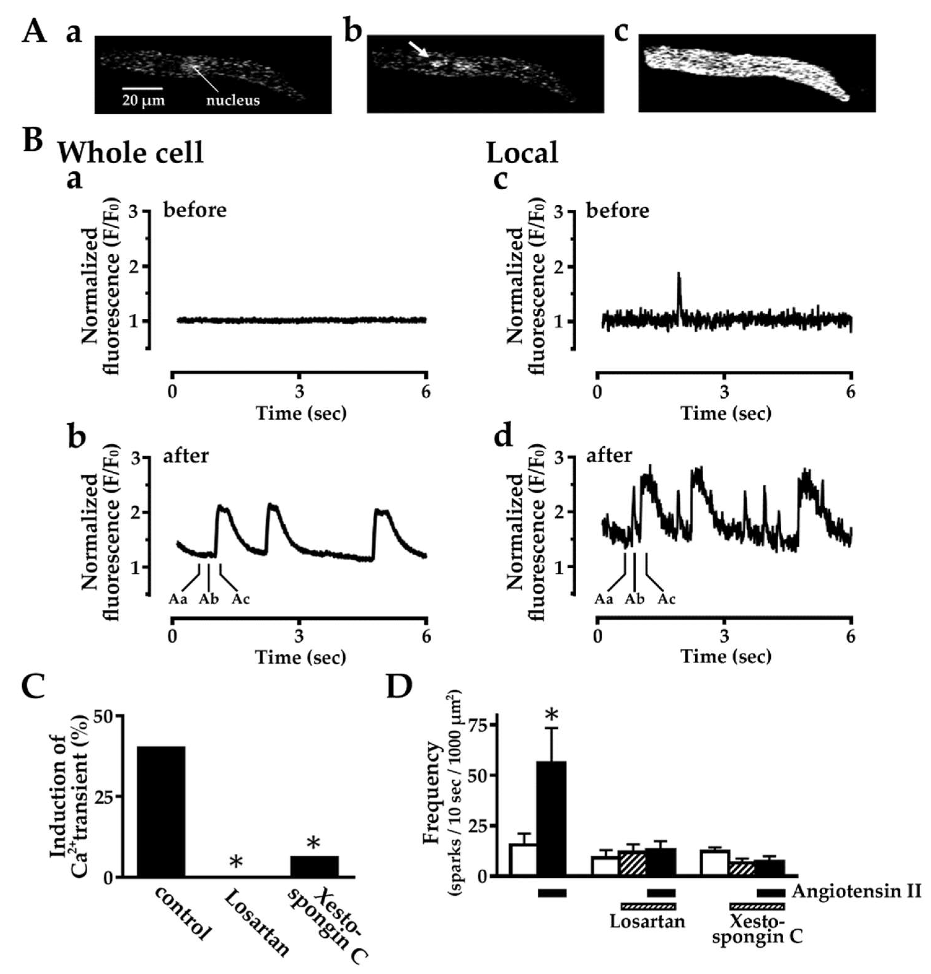 Ijms 20 01768 g003 Ijms 20 01768 g003