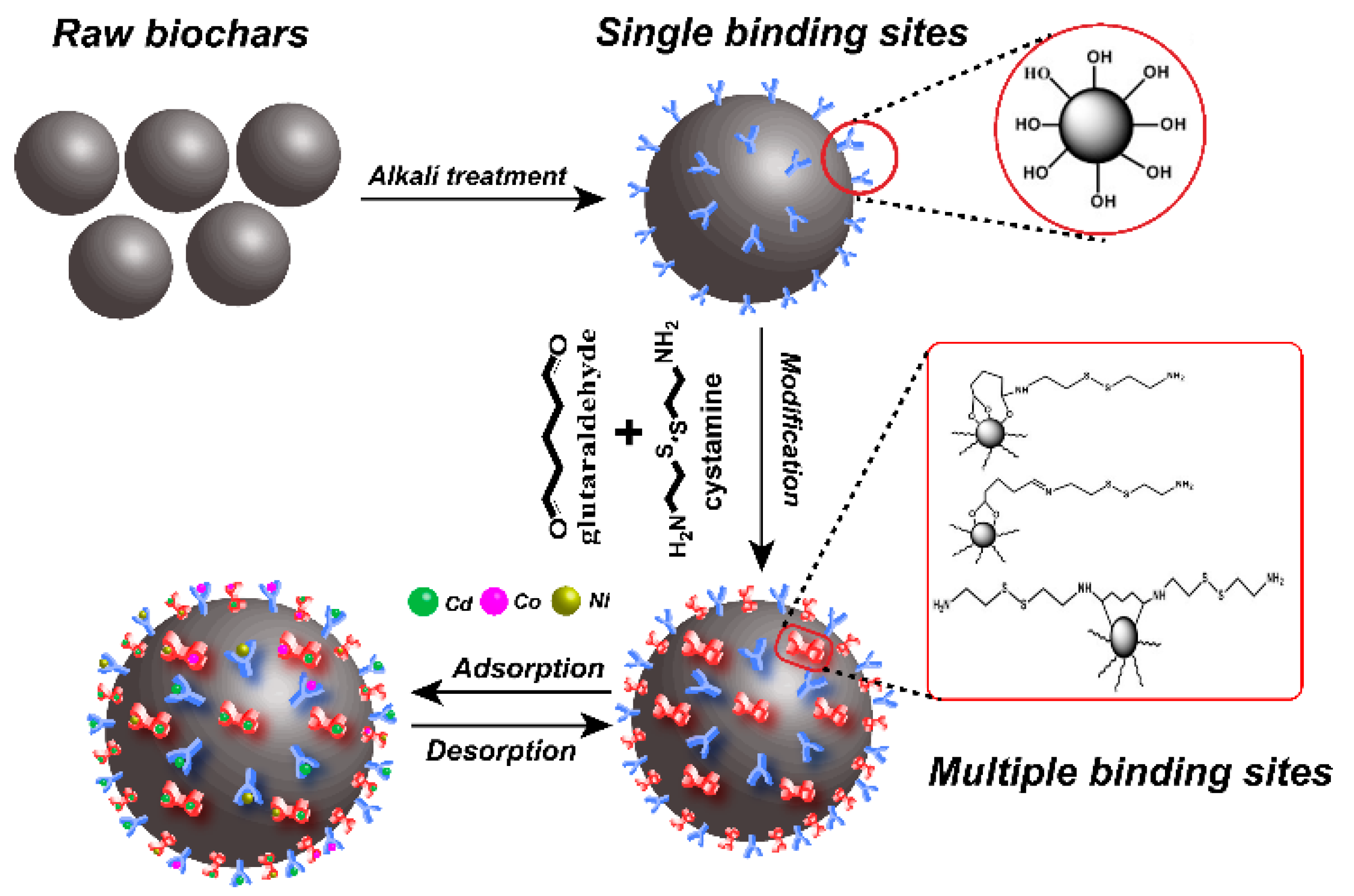 Ijms 20 01775 g001 Ijms 20 01775 g001