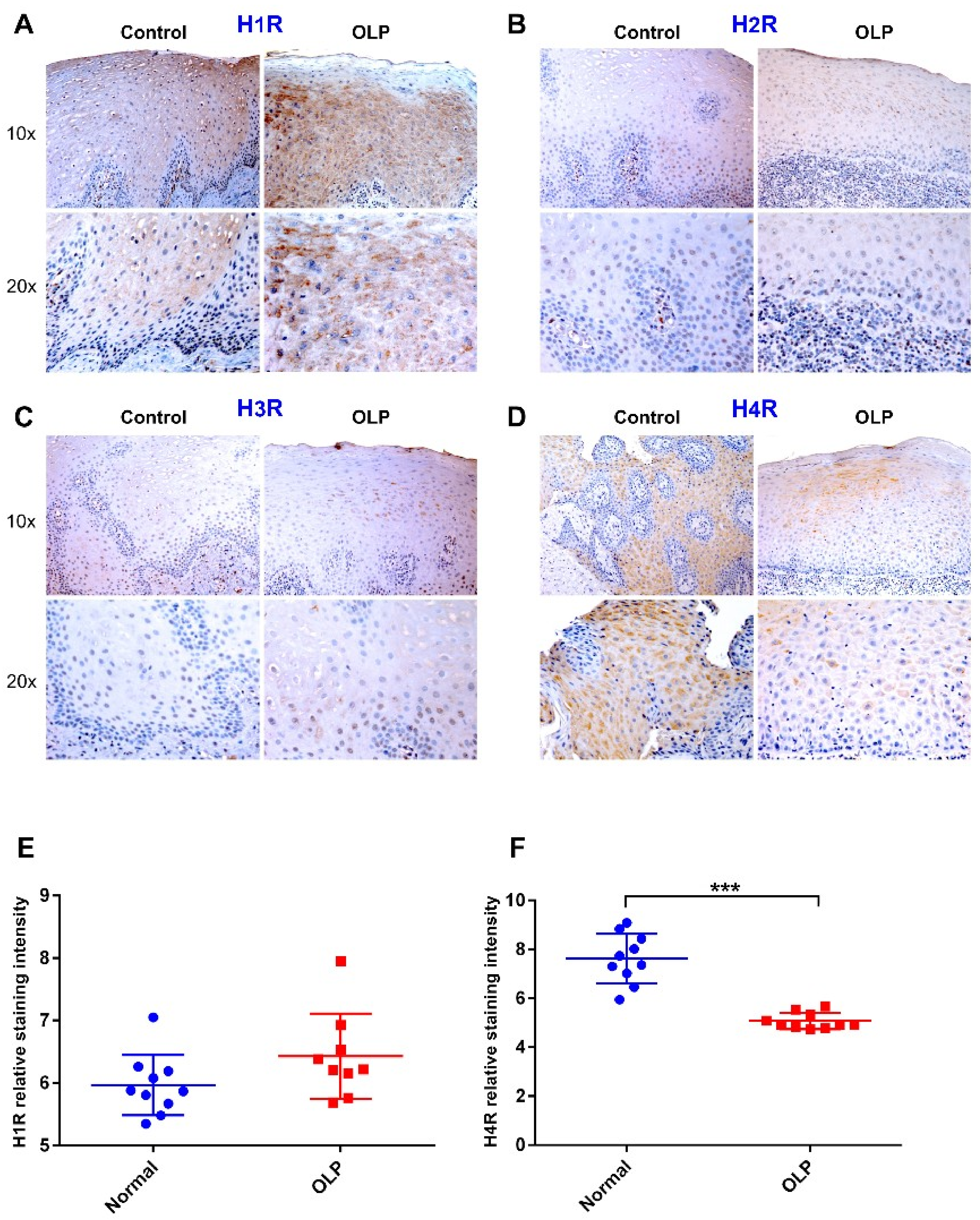 Ijms 20 01780 g004 Ijms 20 01780 g004