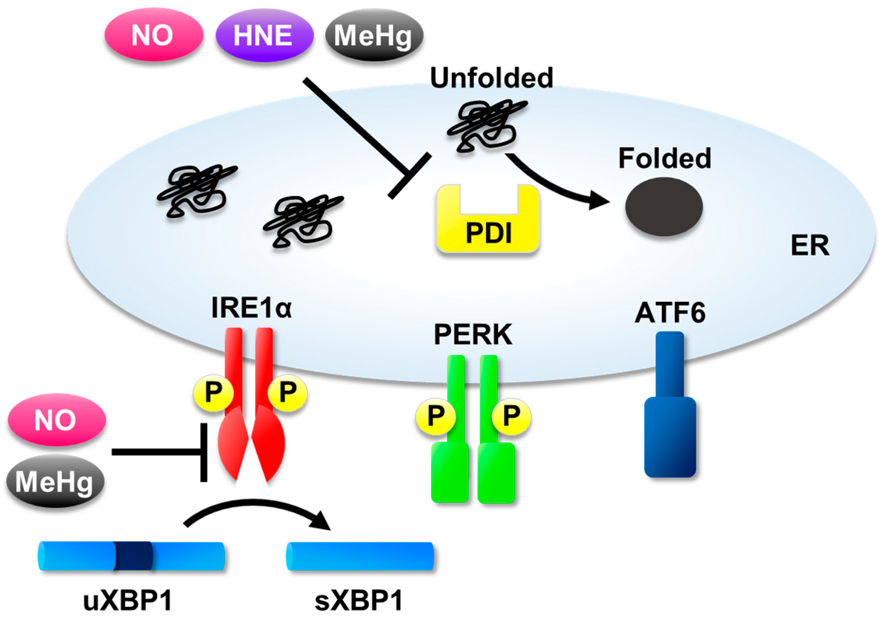 Ijms 20 01783 g001 Ijms 20 01783 g001