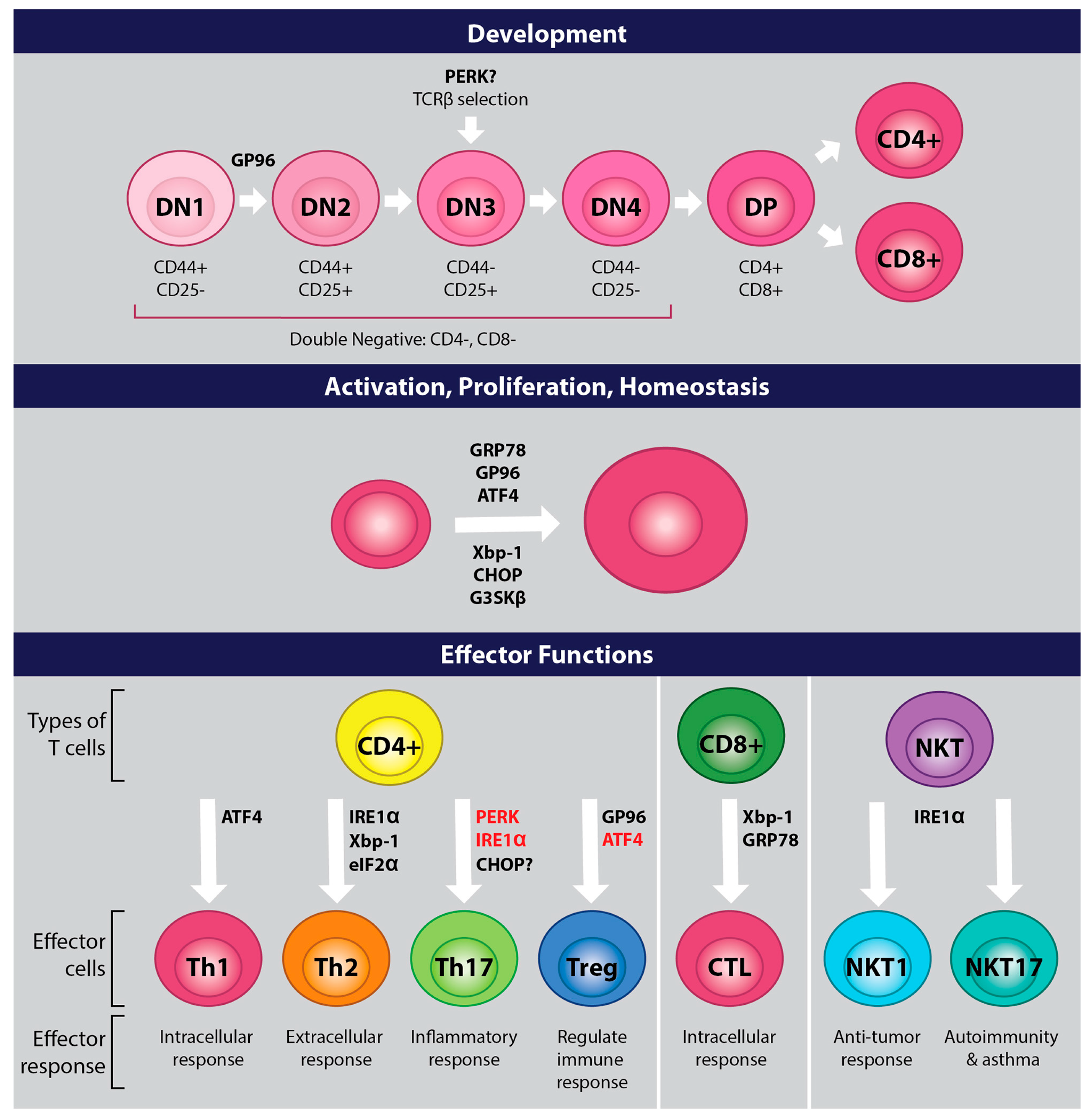 Ijms 20 01792 g003 Ijms 20 01792 g003