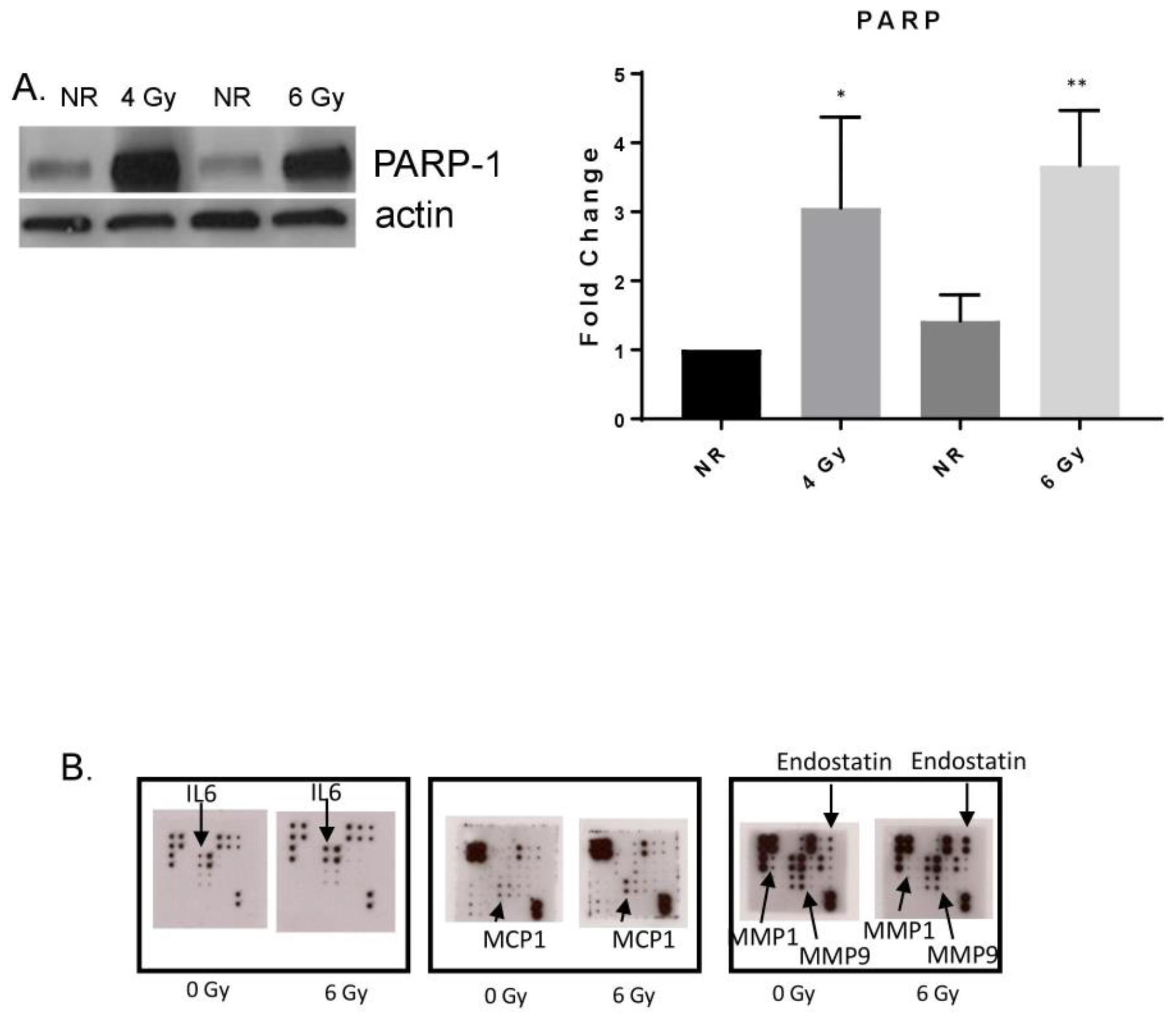 Ijms 20 01795 g002
