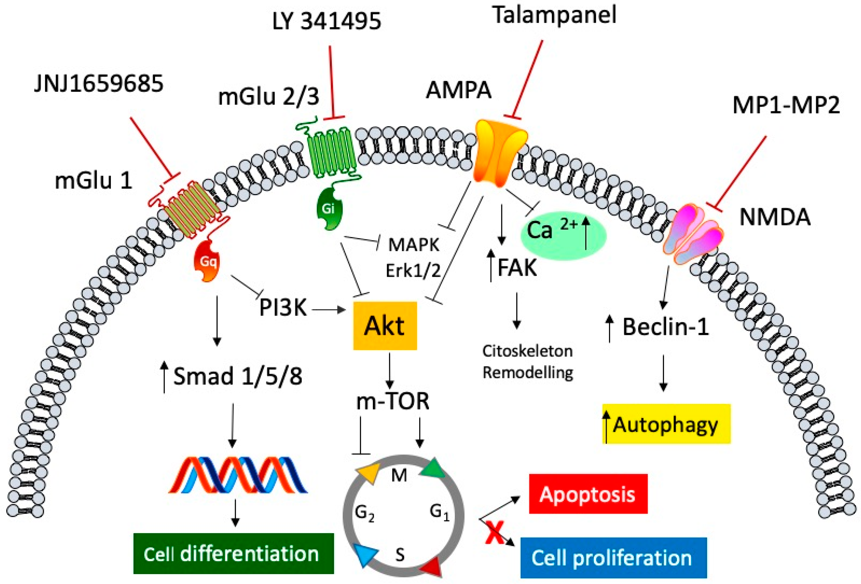 Ijms 20 01796 g001 Ijms 20 01796 g001