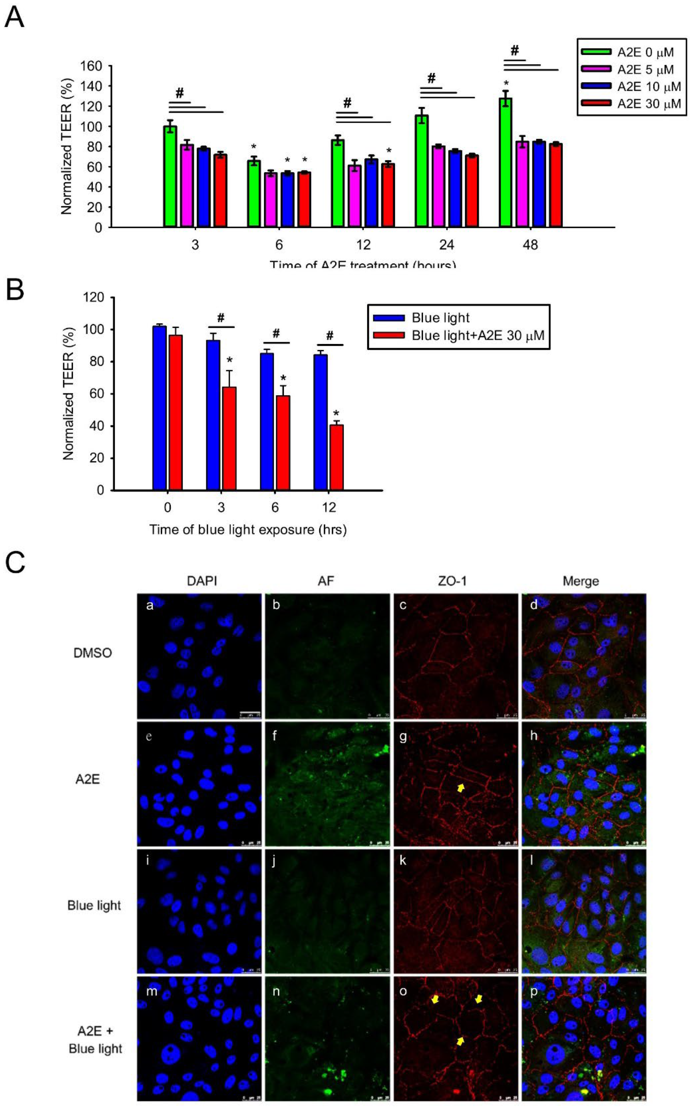 Ijms 20 01799 g003